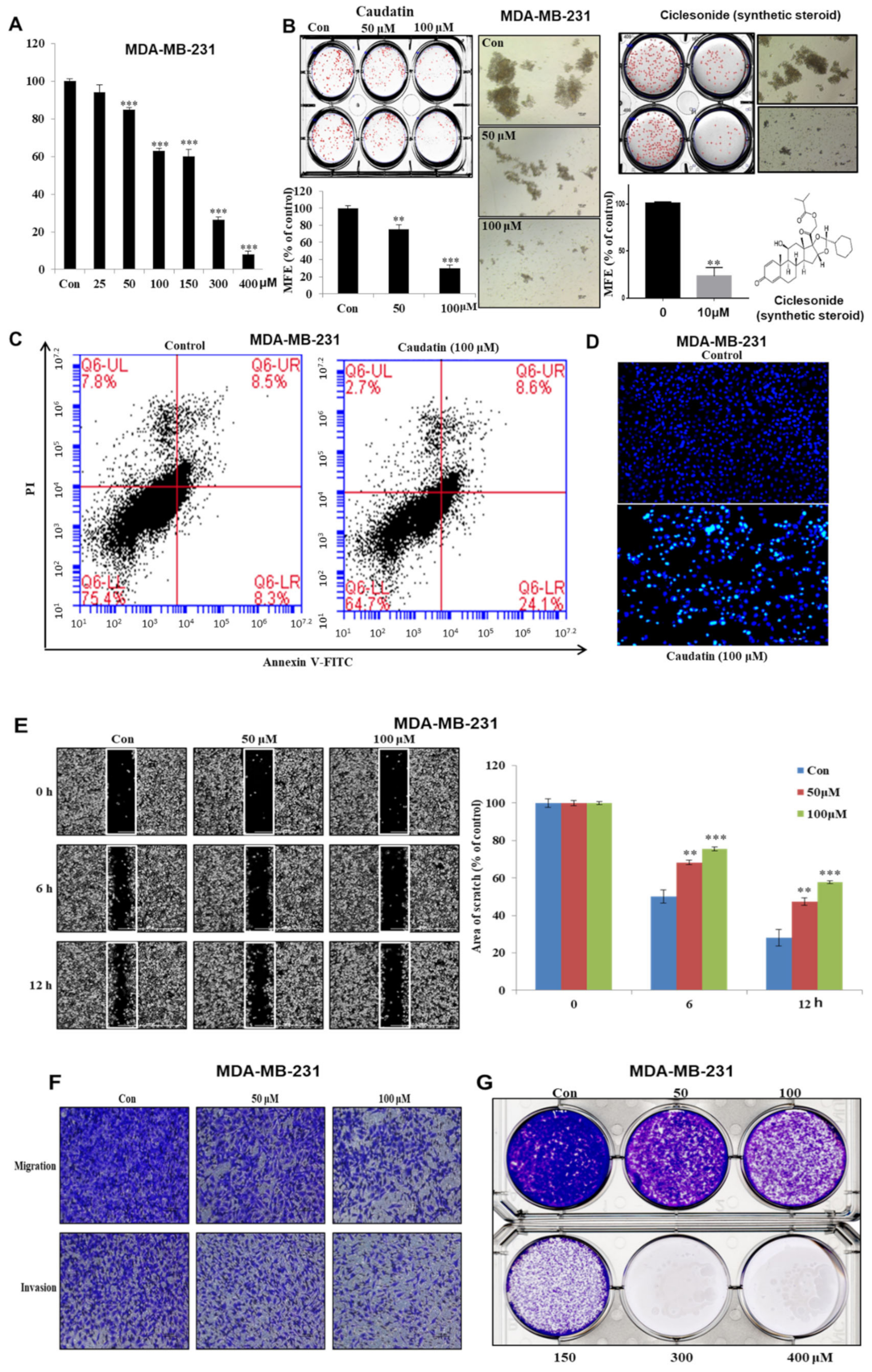 Biomolecules 10 00925 g003 Biomolecules 10 00925 g003