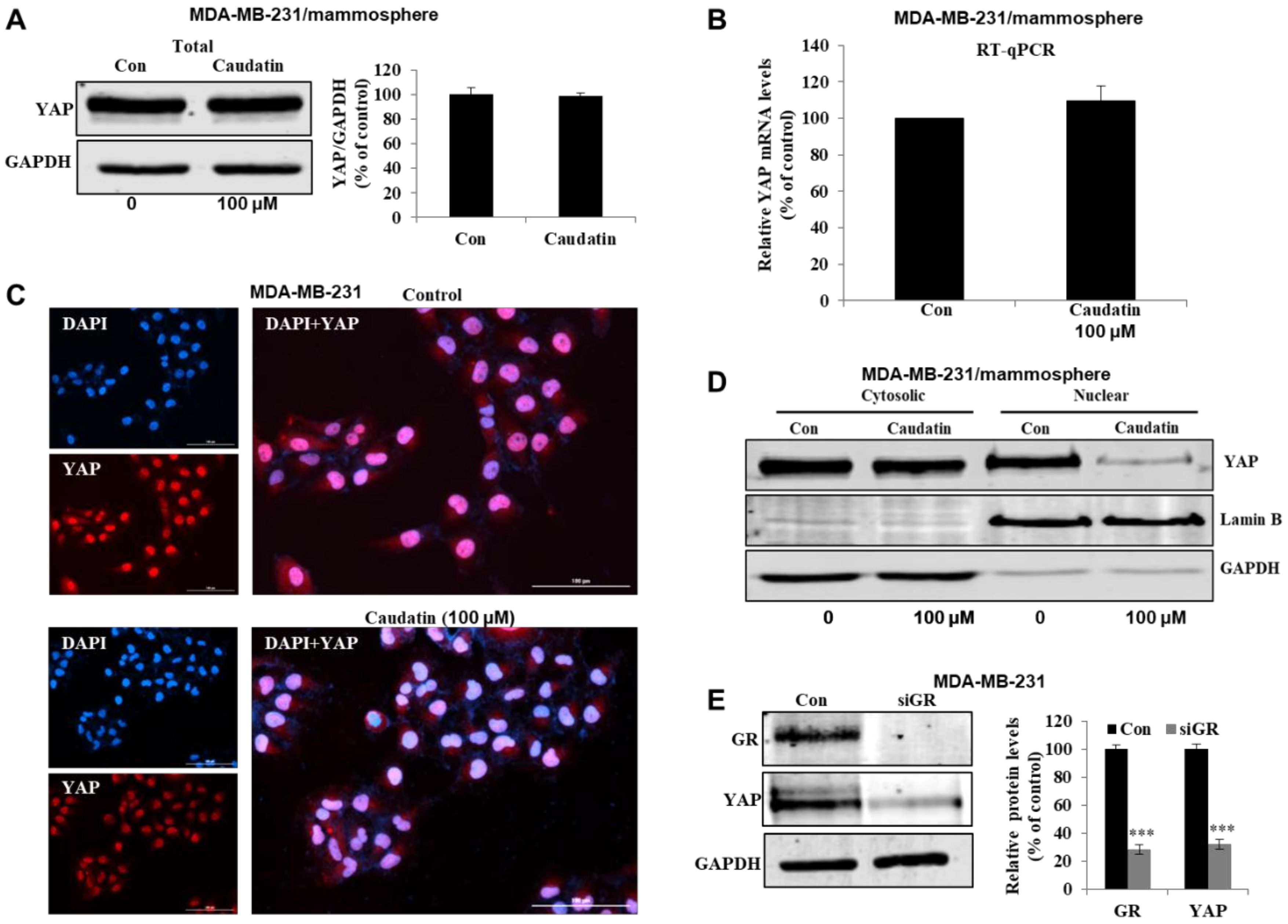 Biomolecules 10 00925 g007a Biomolecules 10 00925 g007a