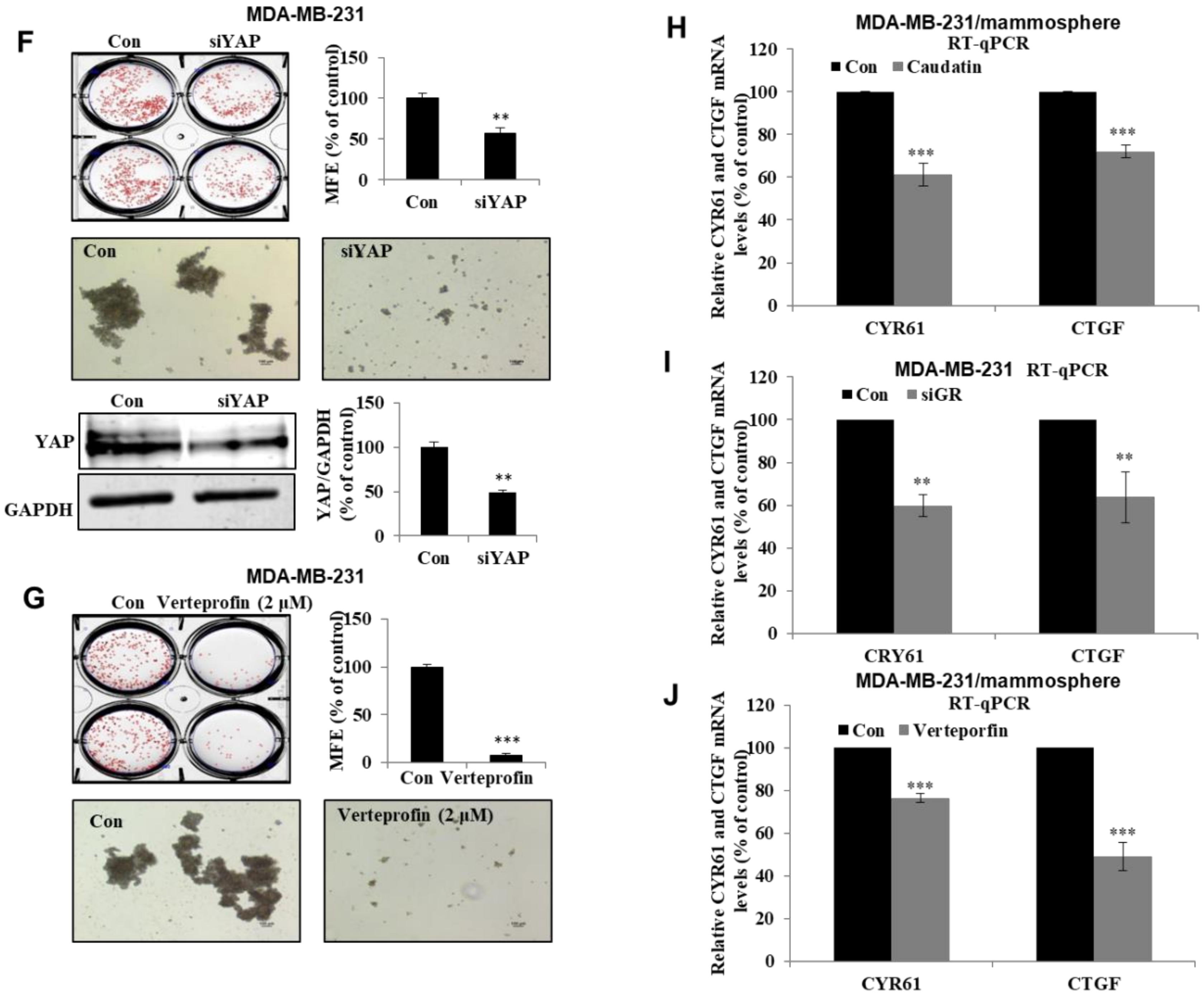 Biomolecules 10 00925 g007b Biomolecules 10 00925 g007b