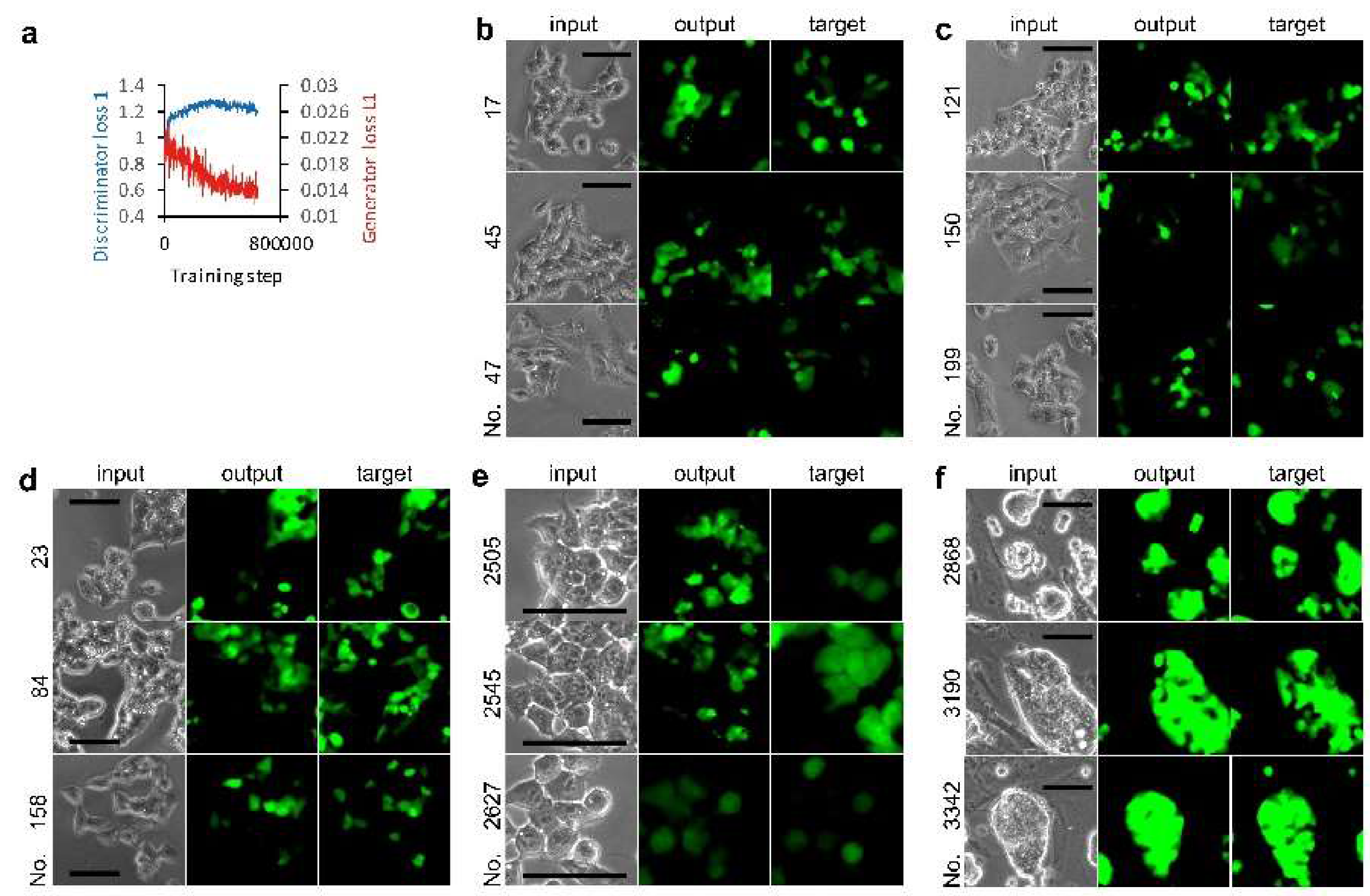 Biomolecules 10 00931 g002 Biomolecules 10 00931 g002