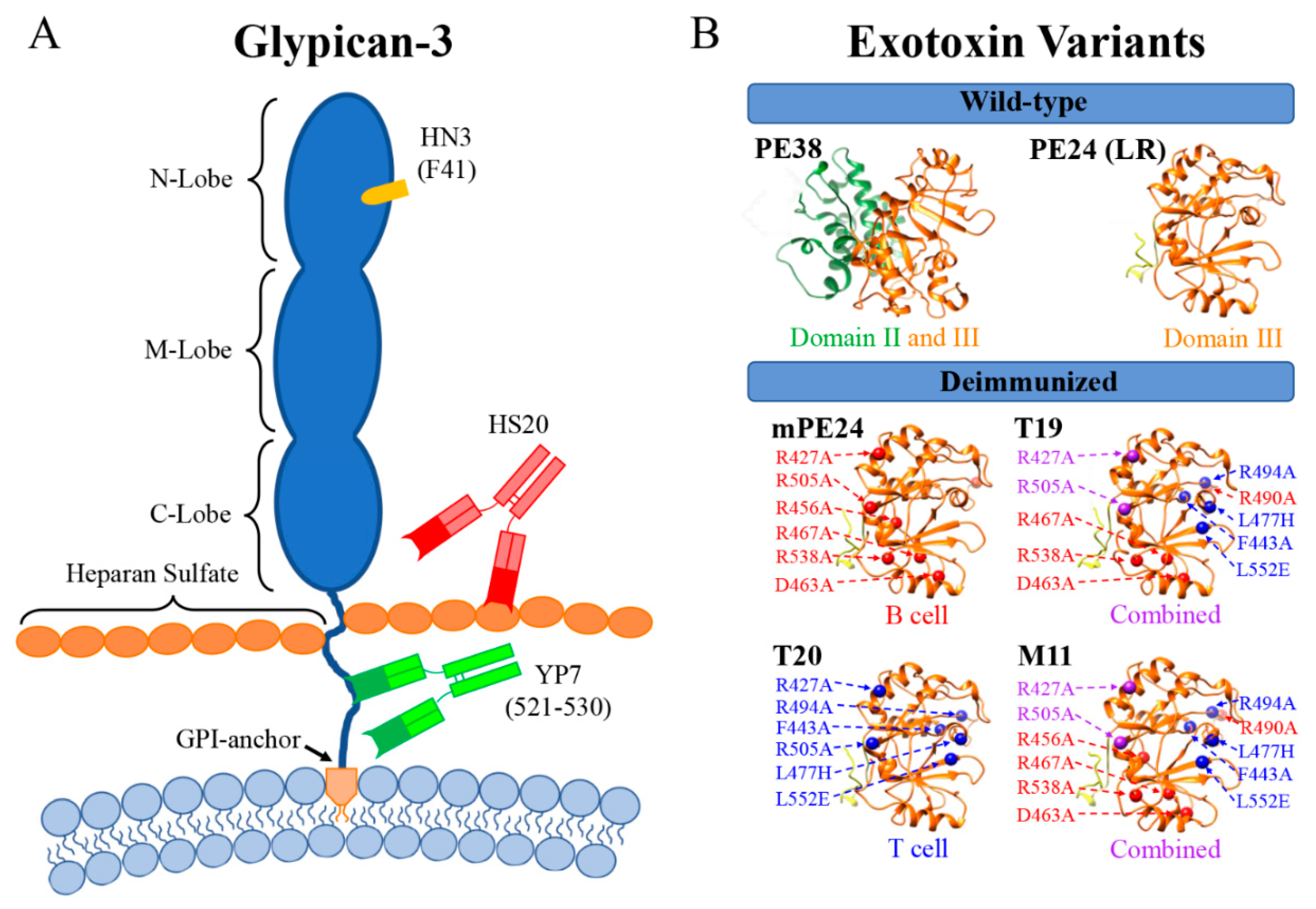 Biomolecules 10 00934 g001 Biomolecules 10 00934 g001