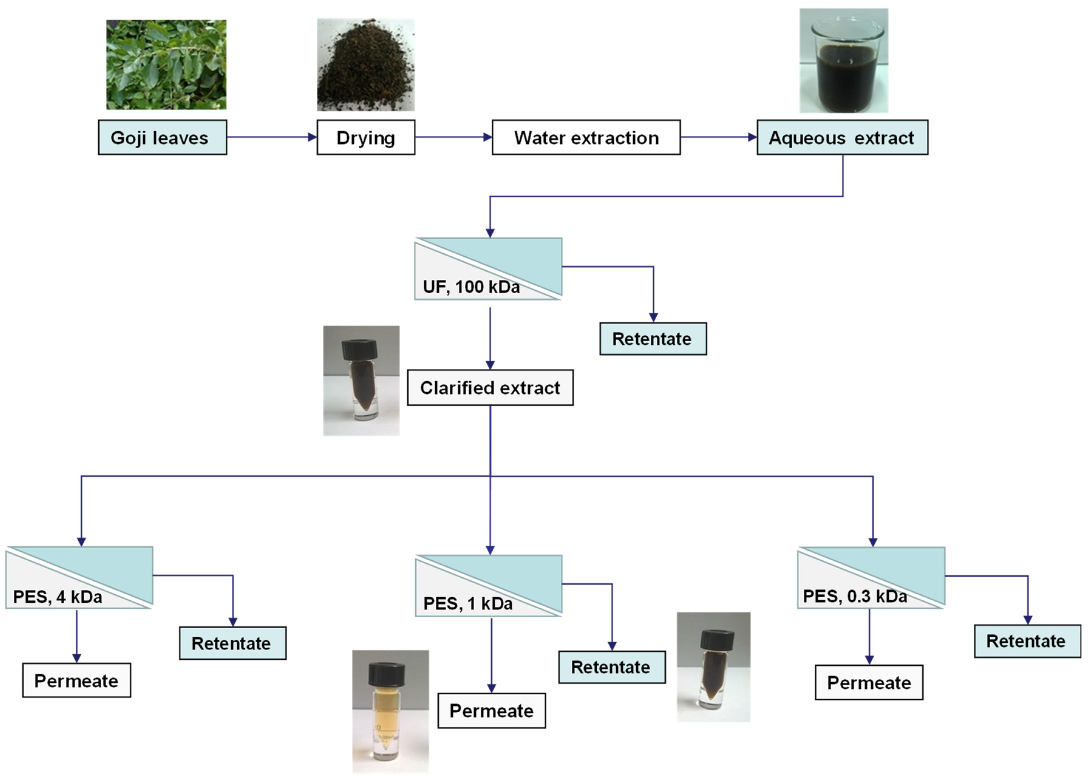 Biomolecules 10 00935 g001