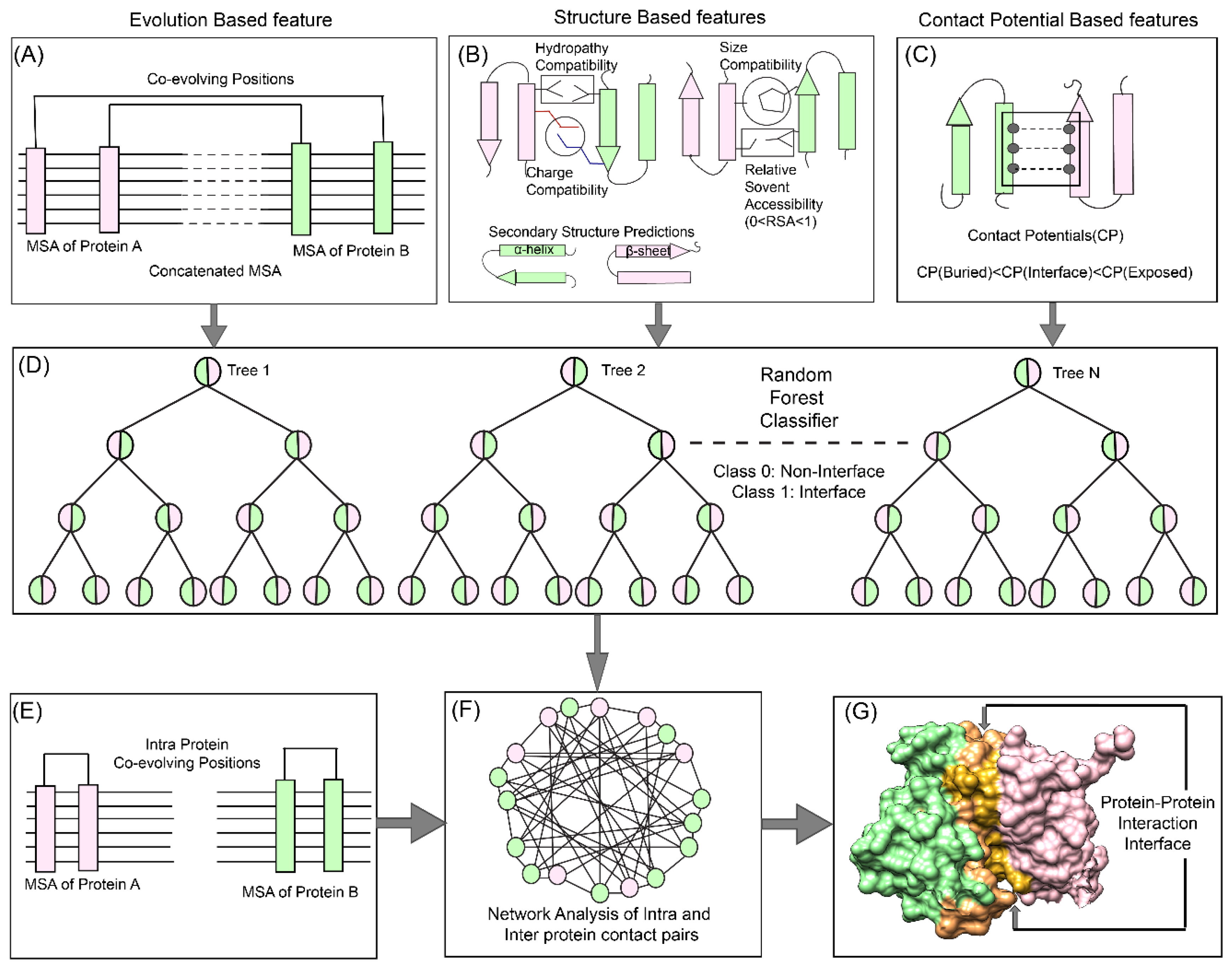 Biomolecules 10 00938 g001