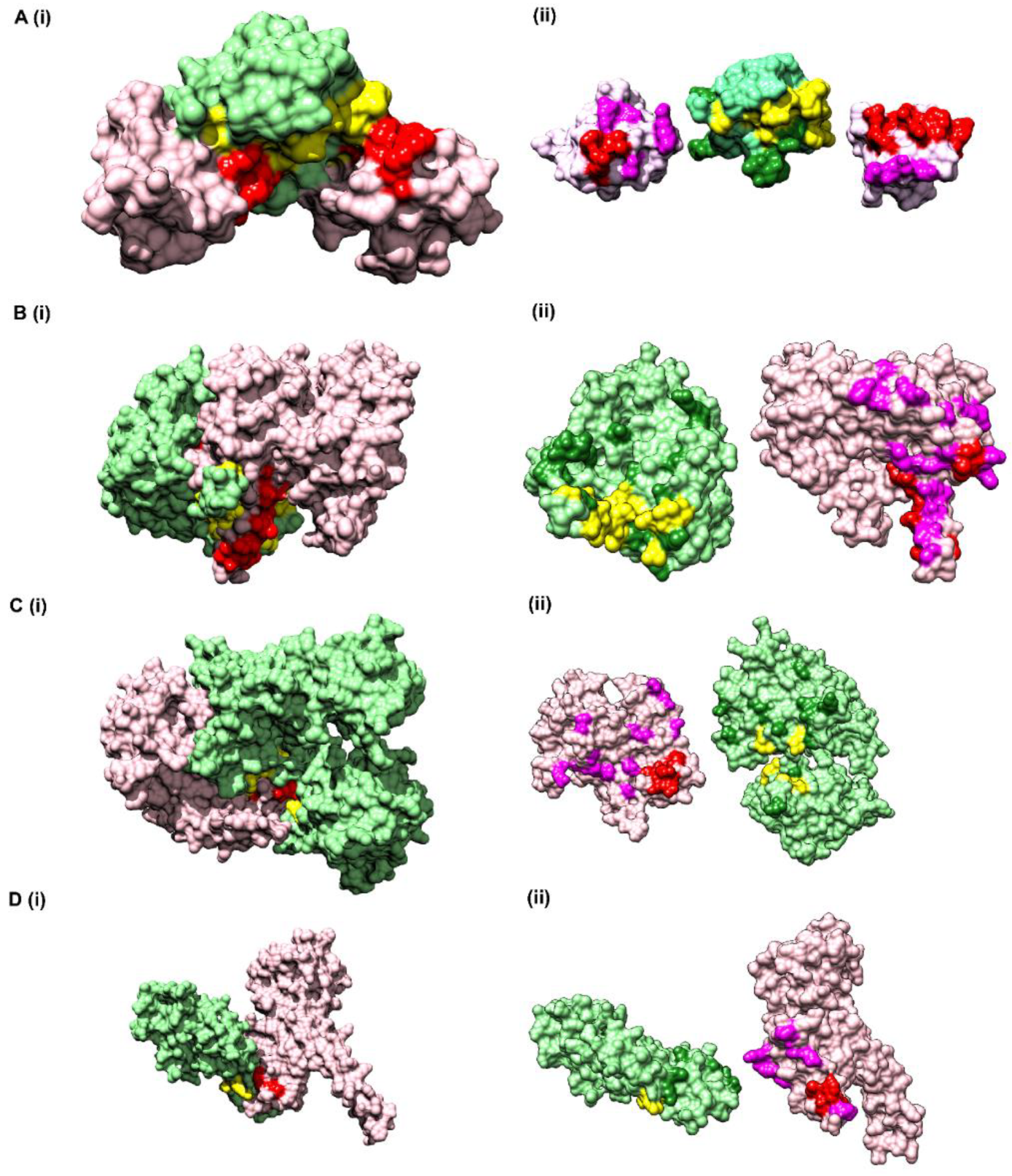 Biomolecules 10 00938 g005