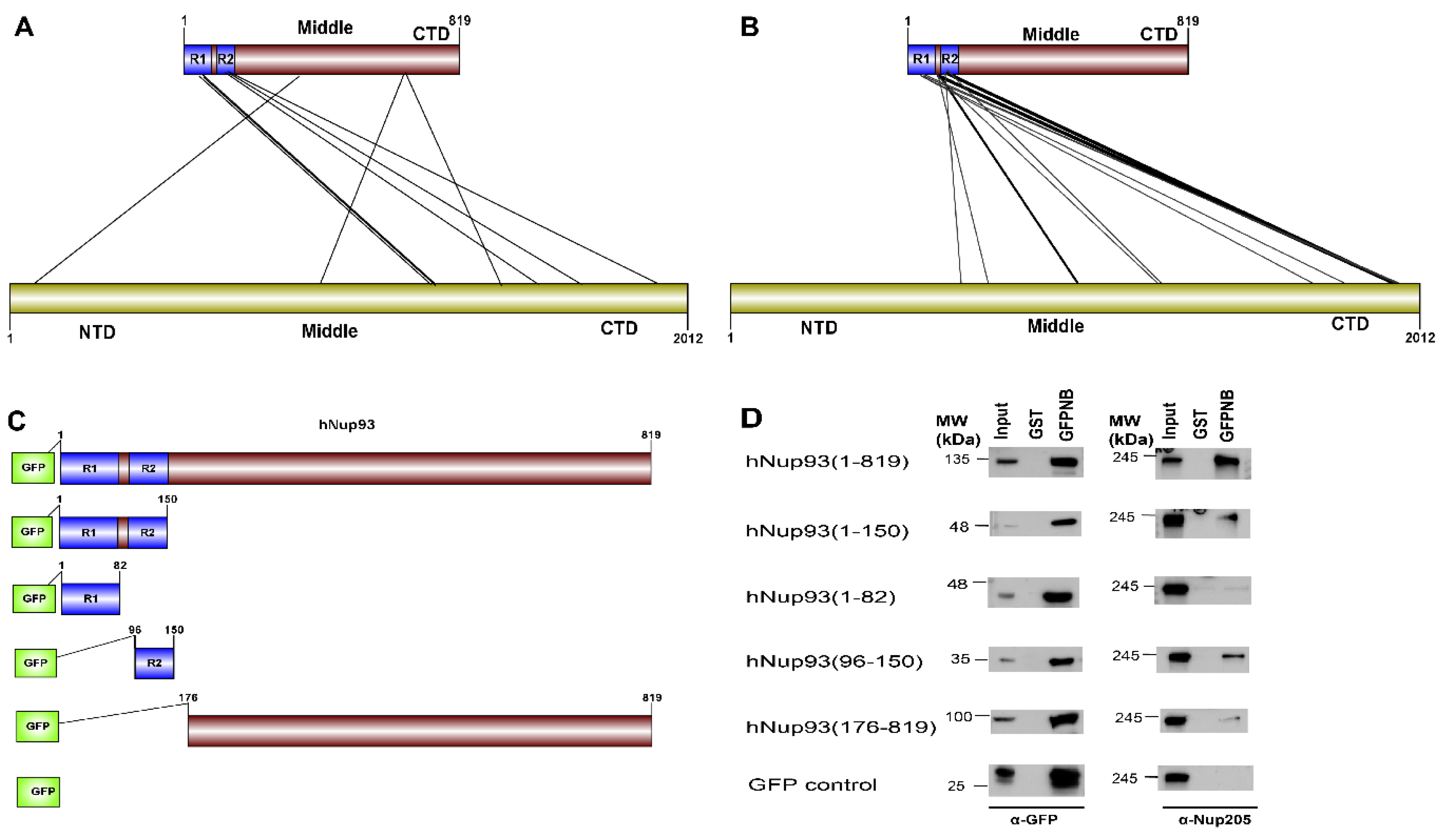 Biomolecules 10 00938 g006