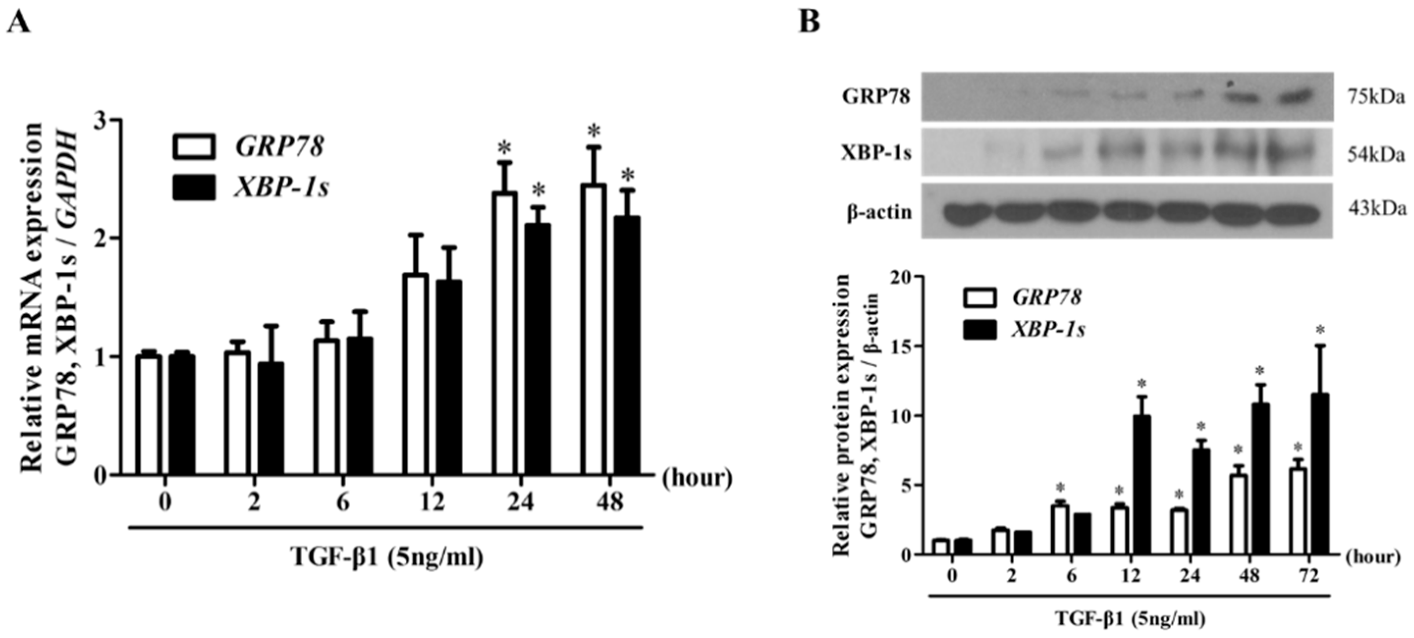 Biomolecules 10 00942 g001 Biomolecules 10 00942 g001