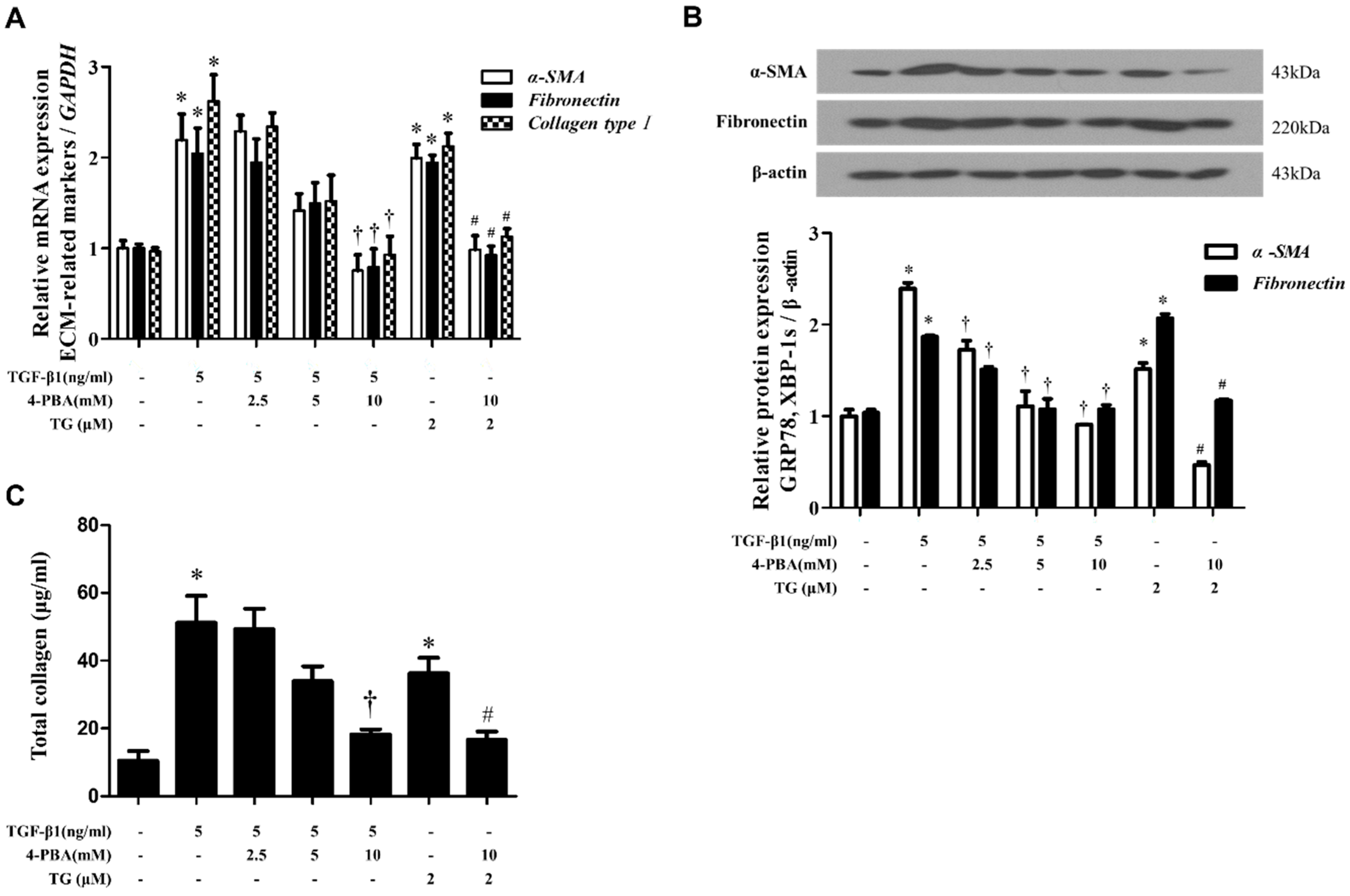 Biomolecules 10 00942 g003 Biomolecules 10 00942 g003