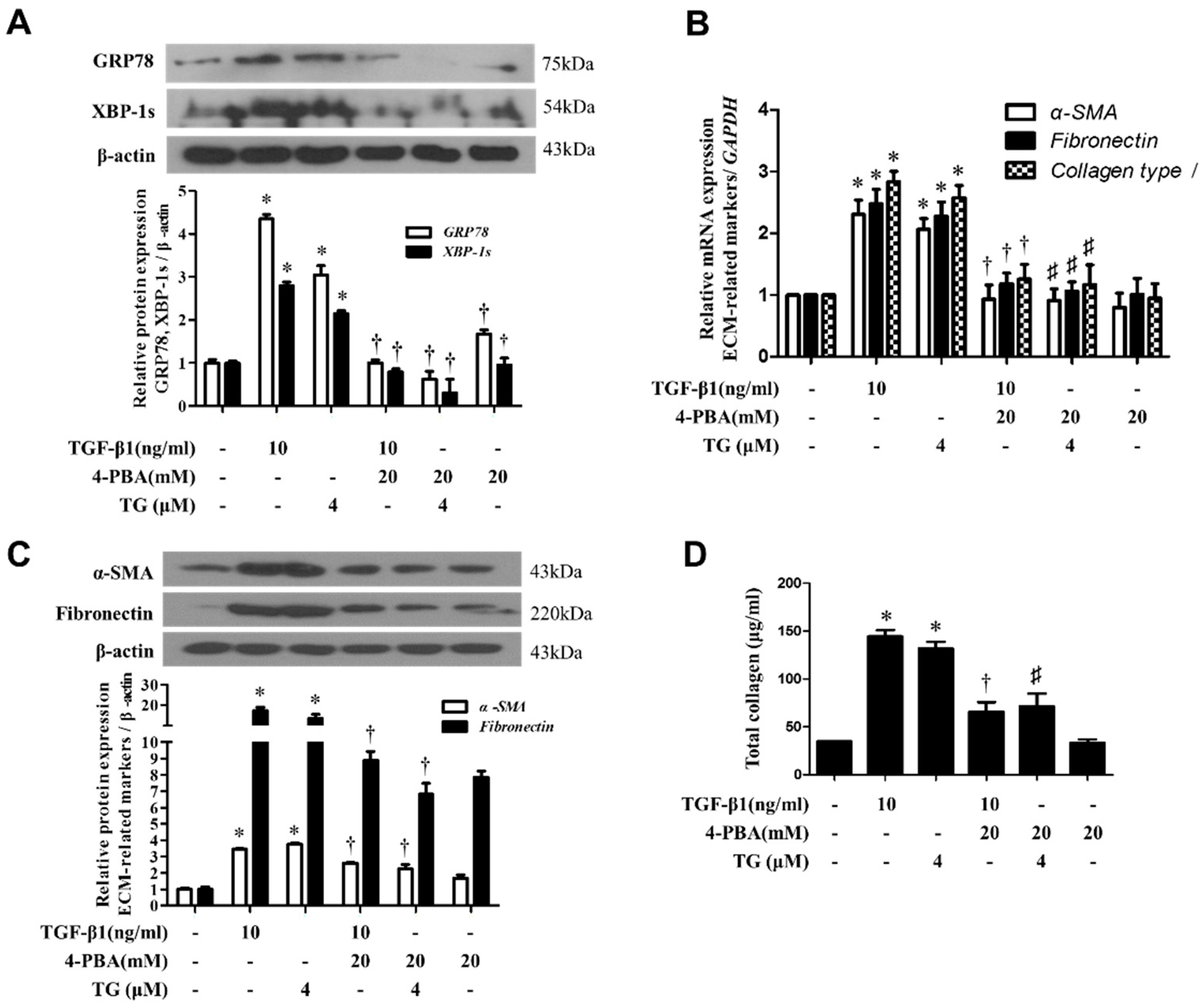 Biomolecules 10 00942 g007 Biomolecules 10 00942 g007