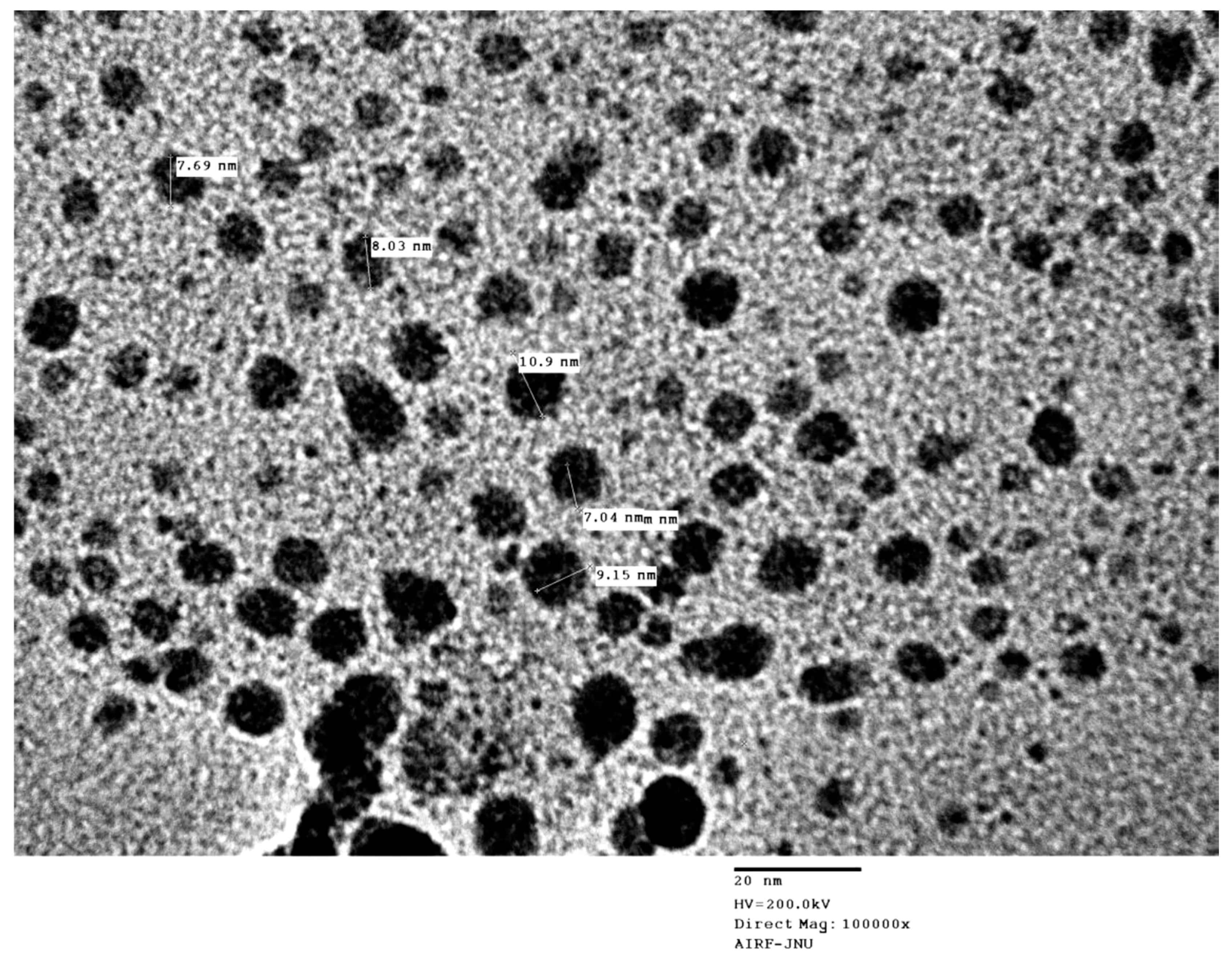 Biomolecules 10 00944 g002