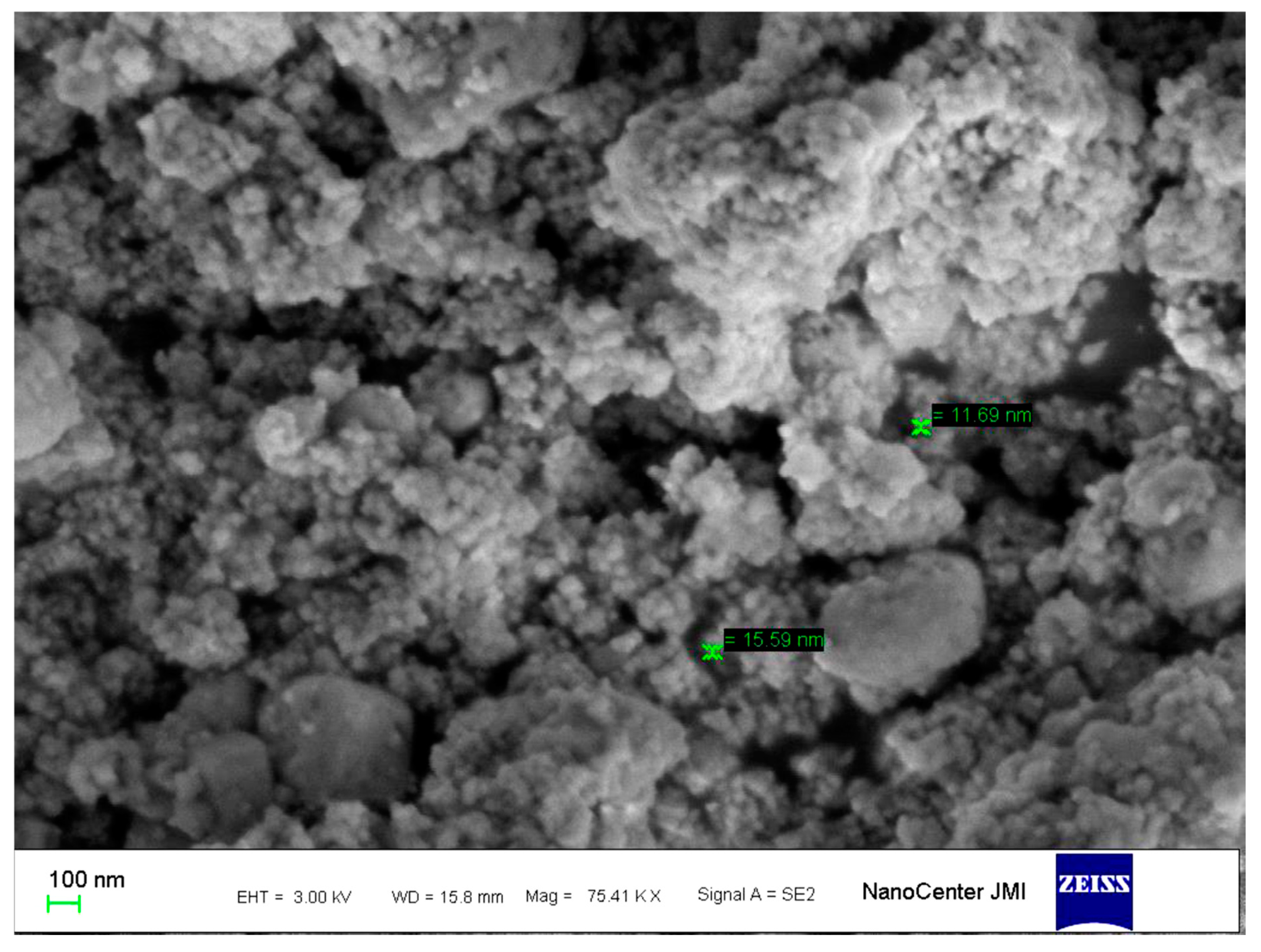 Biomolecules 10 00944 g003