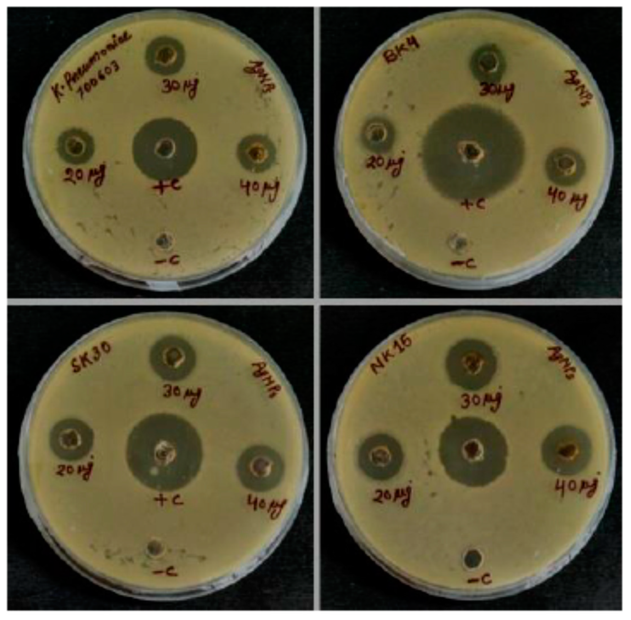 Biomolecules 10 00944 g007