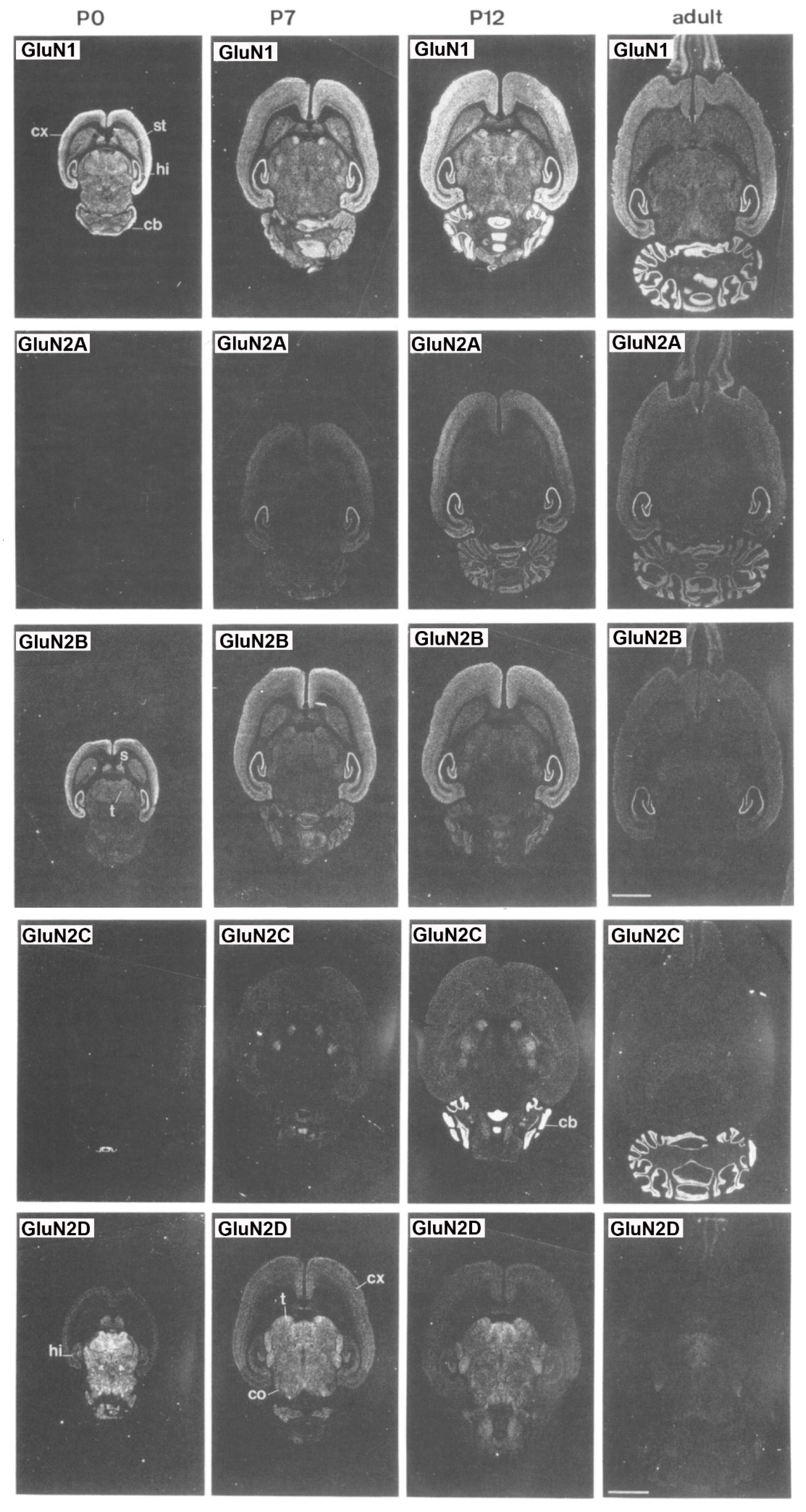Biomolecules 10 00947 g002