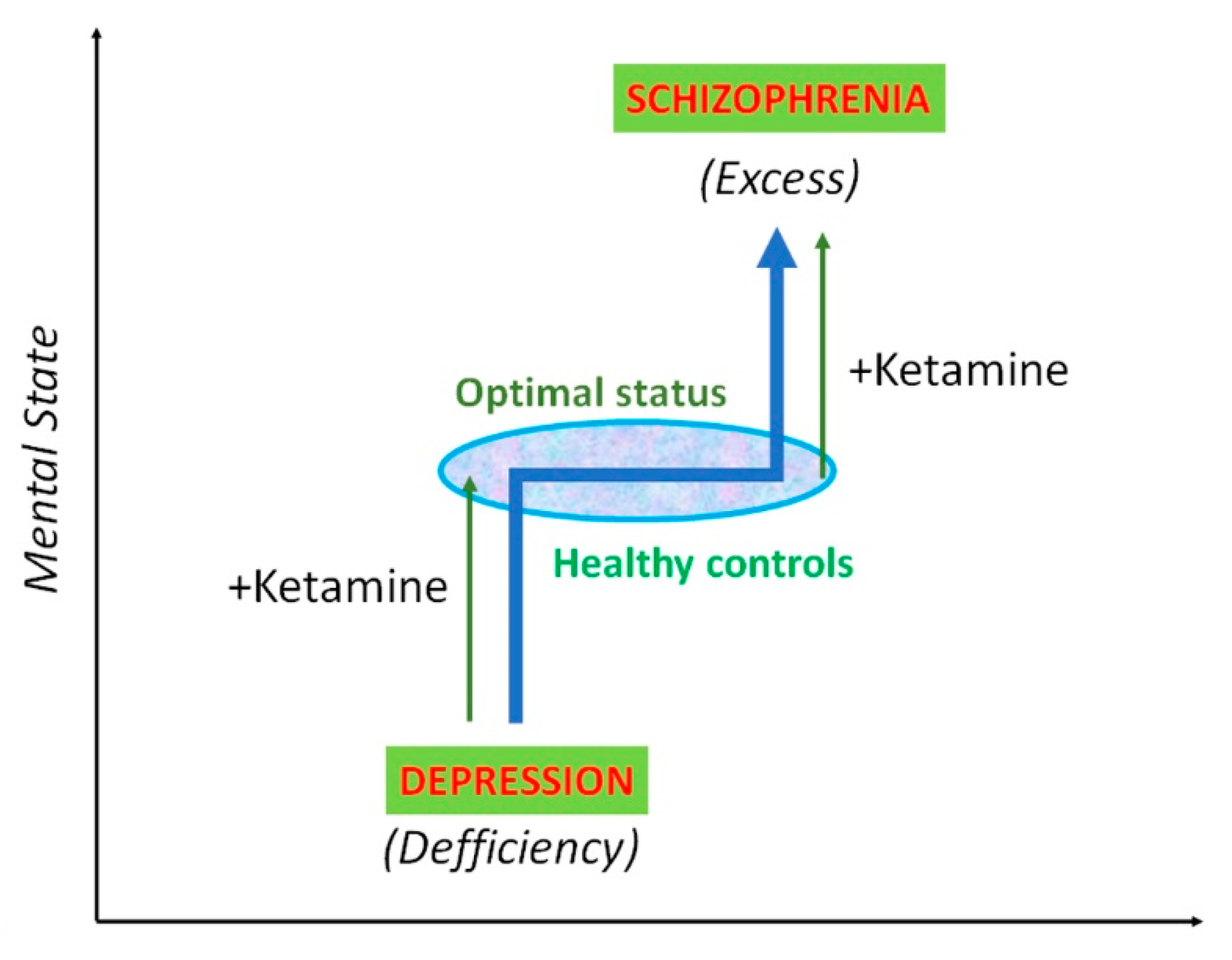 Biomolecules 10 00947 g004