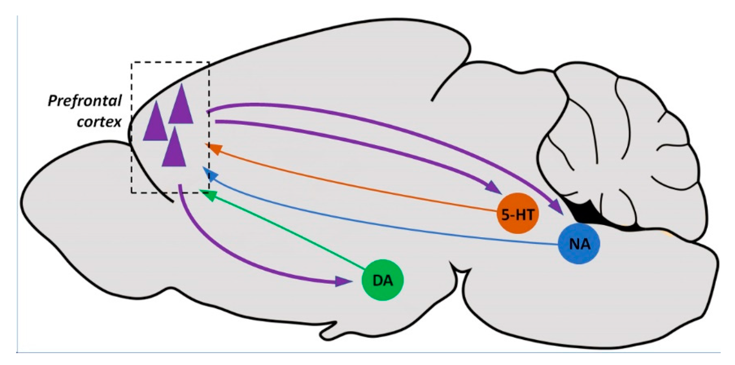 Biomolecules 10 00947 g005
