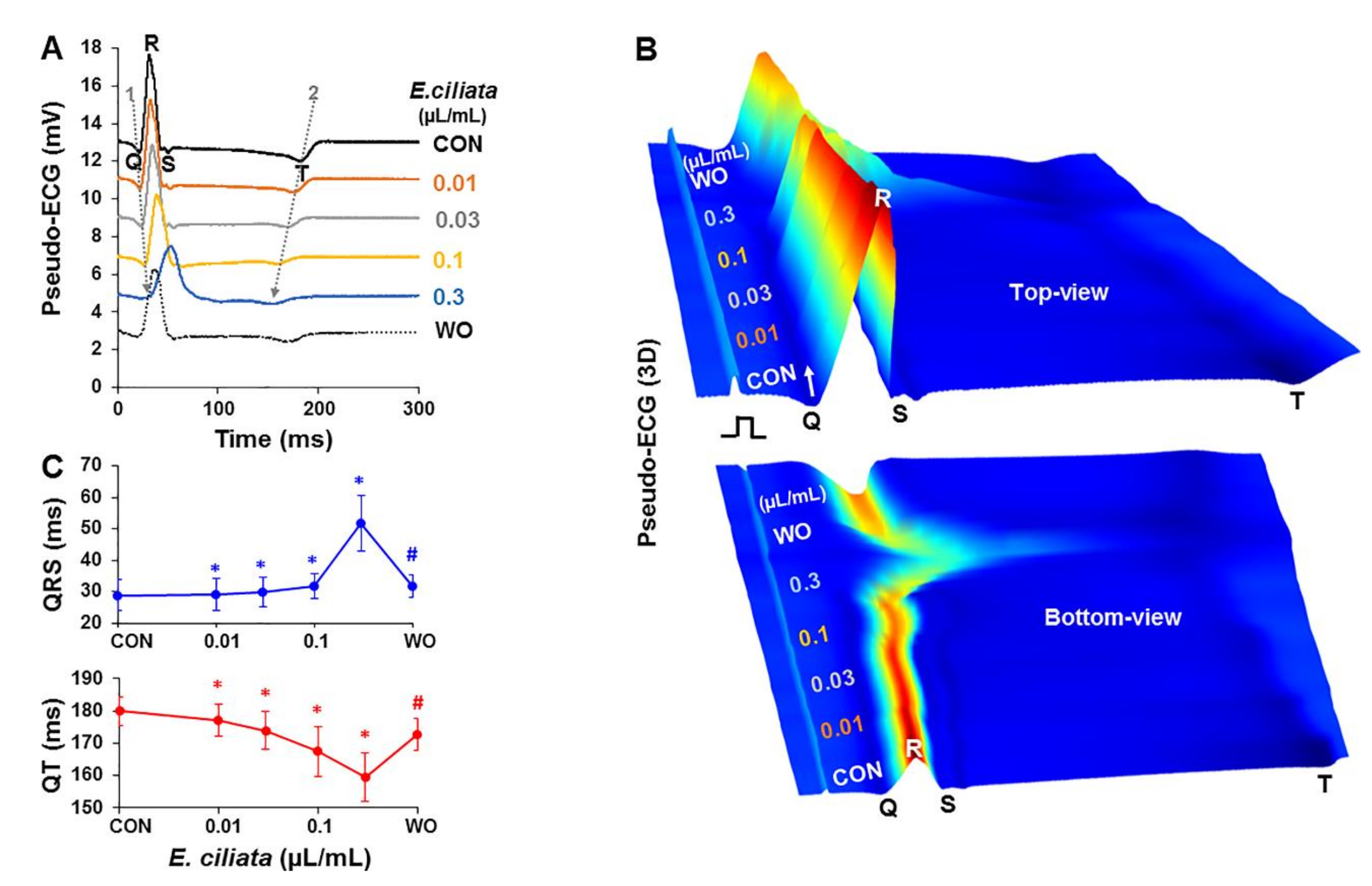 Biomolecules 10 00948 g001 Biomolecules 10 00948 g001