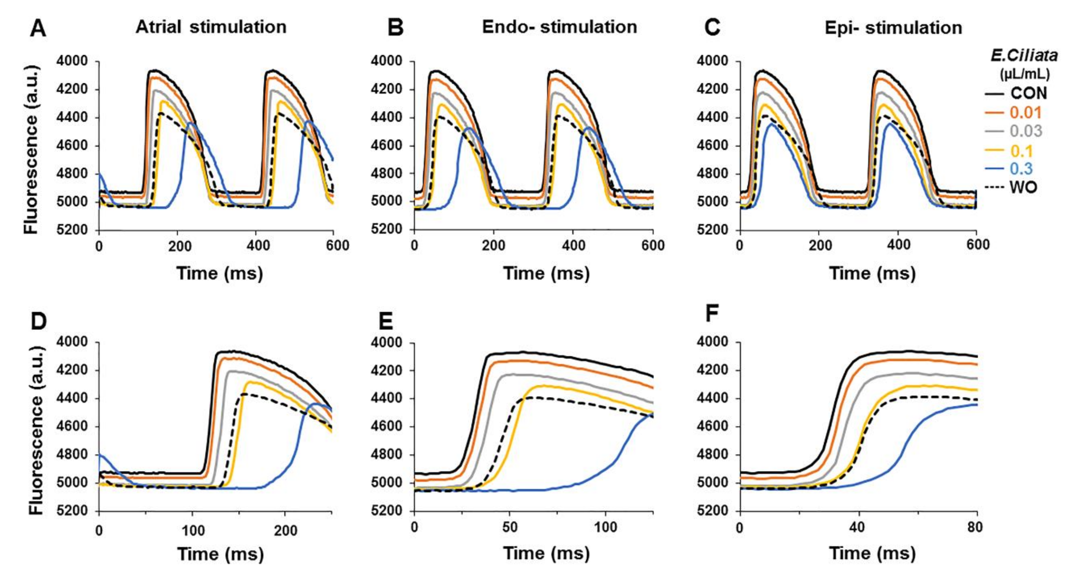 Biomolecules 10 00948 g005 Biomolecules 10 00948 g005