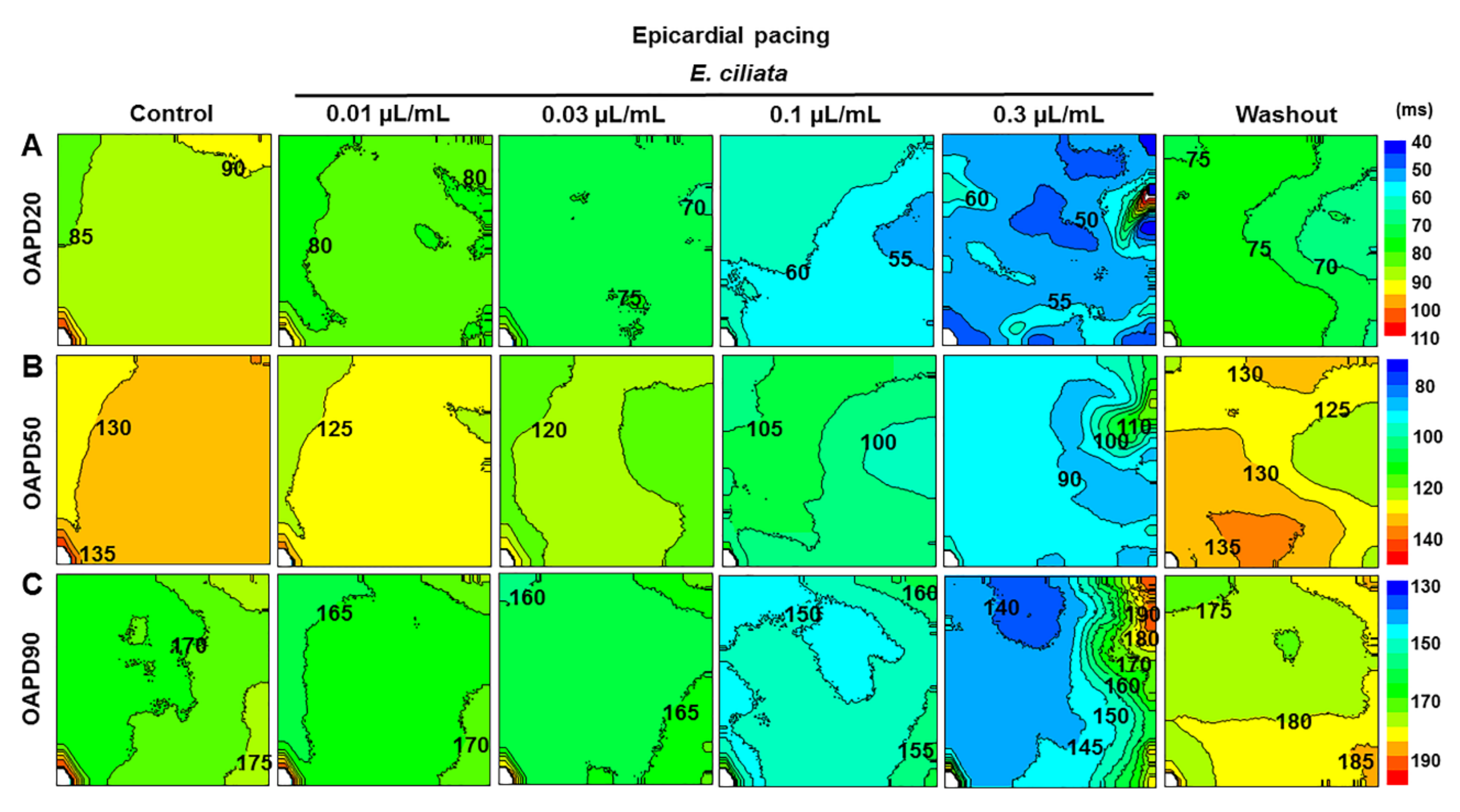Biomolecules 10 00948 g008 Biomolecules 10 00948 g008