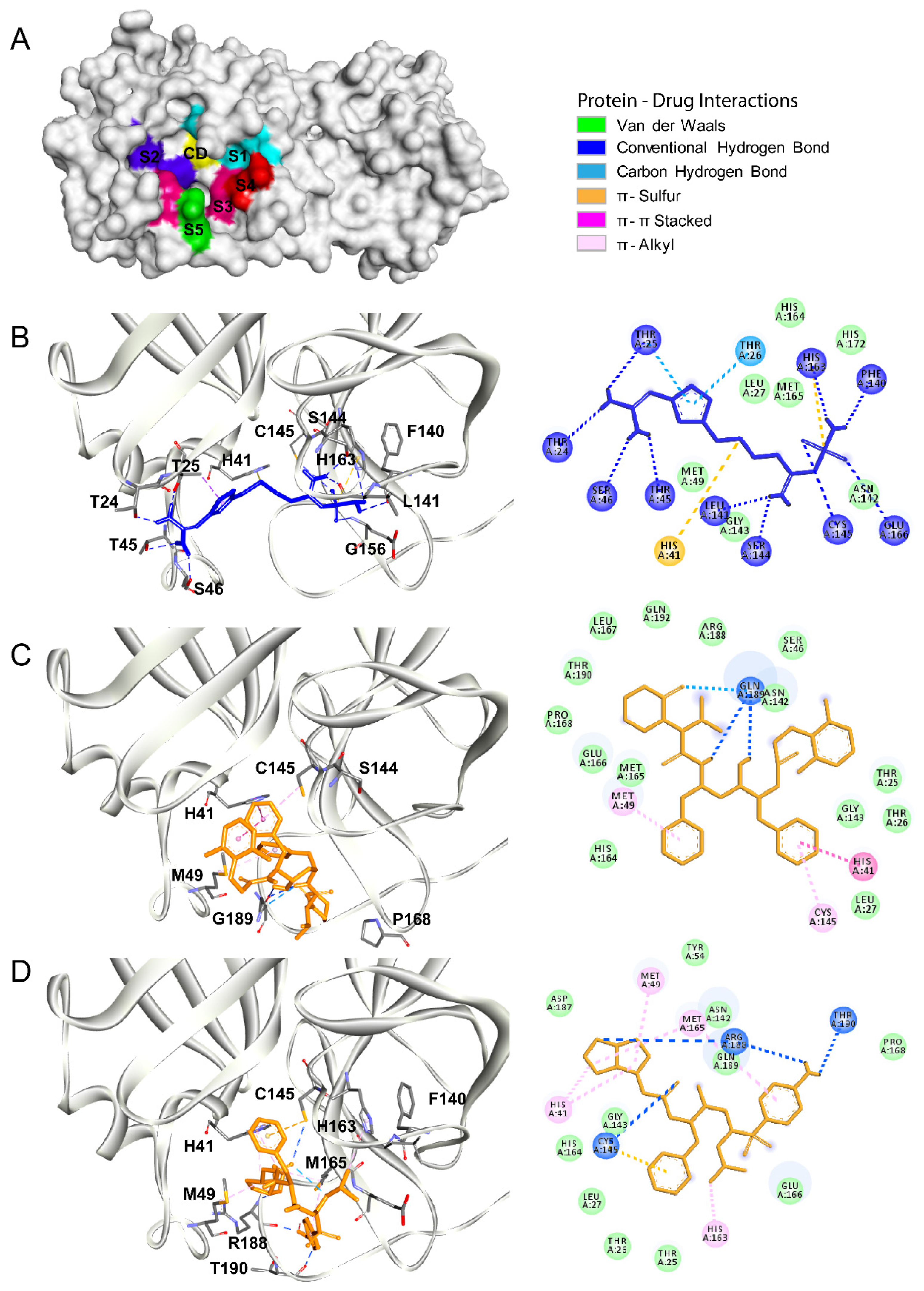 Biomolecules 10 00954 g001