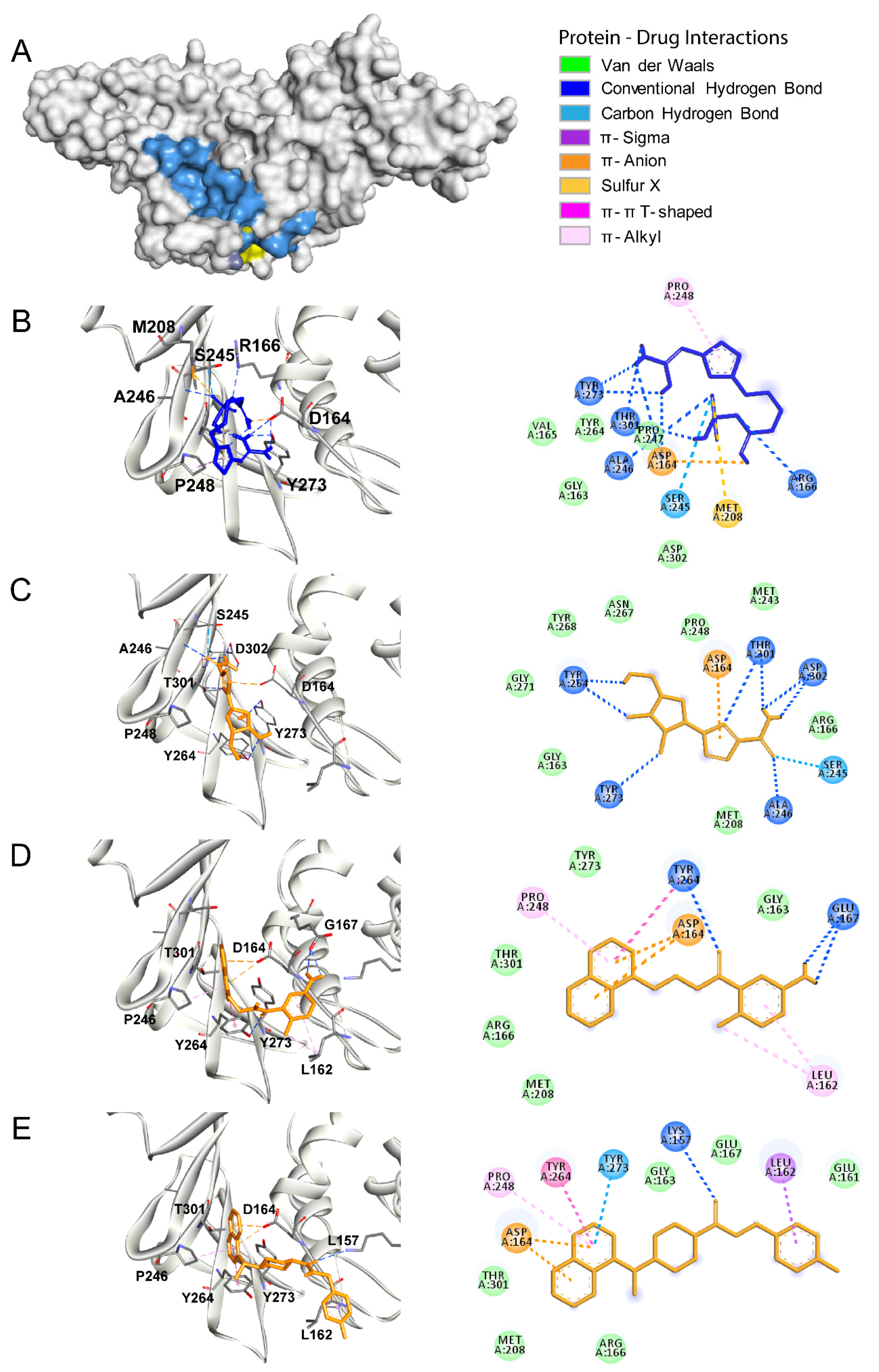 Biomolecules 10 00954 g002
