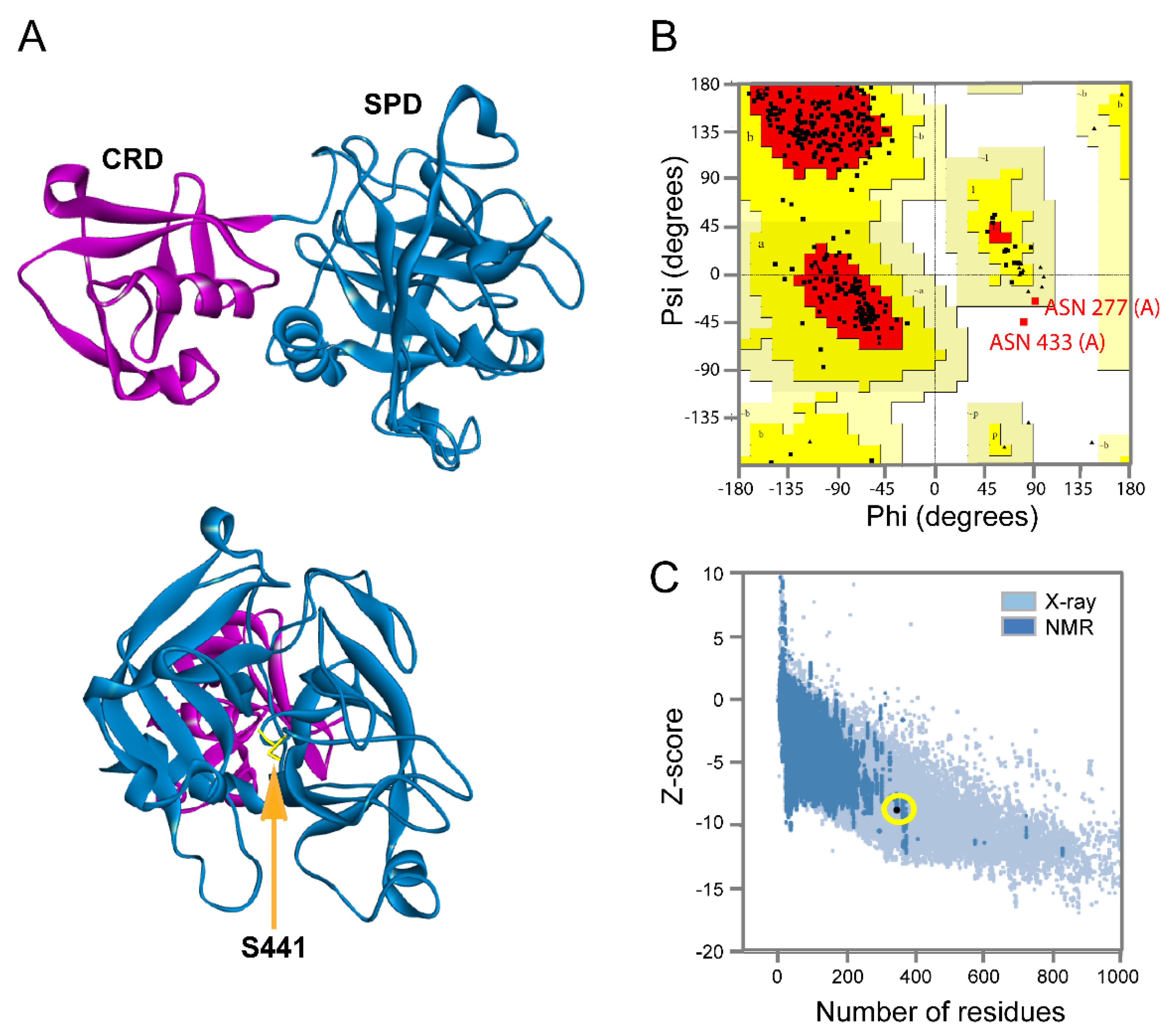 Biomolecules 10 00954 g003