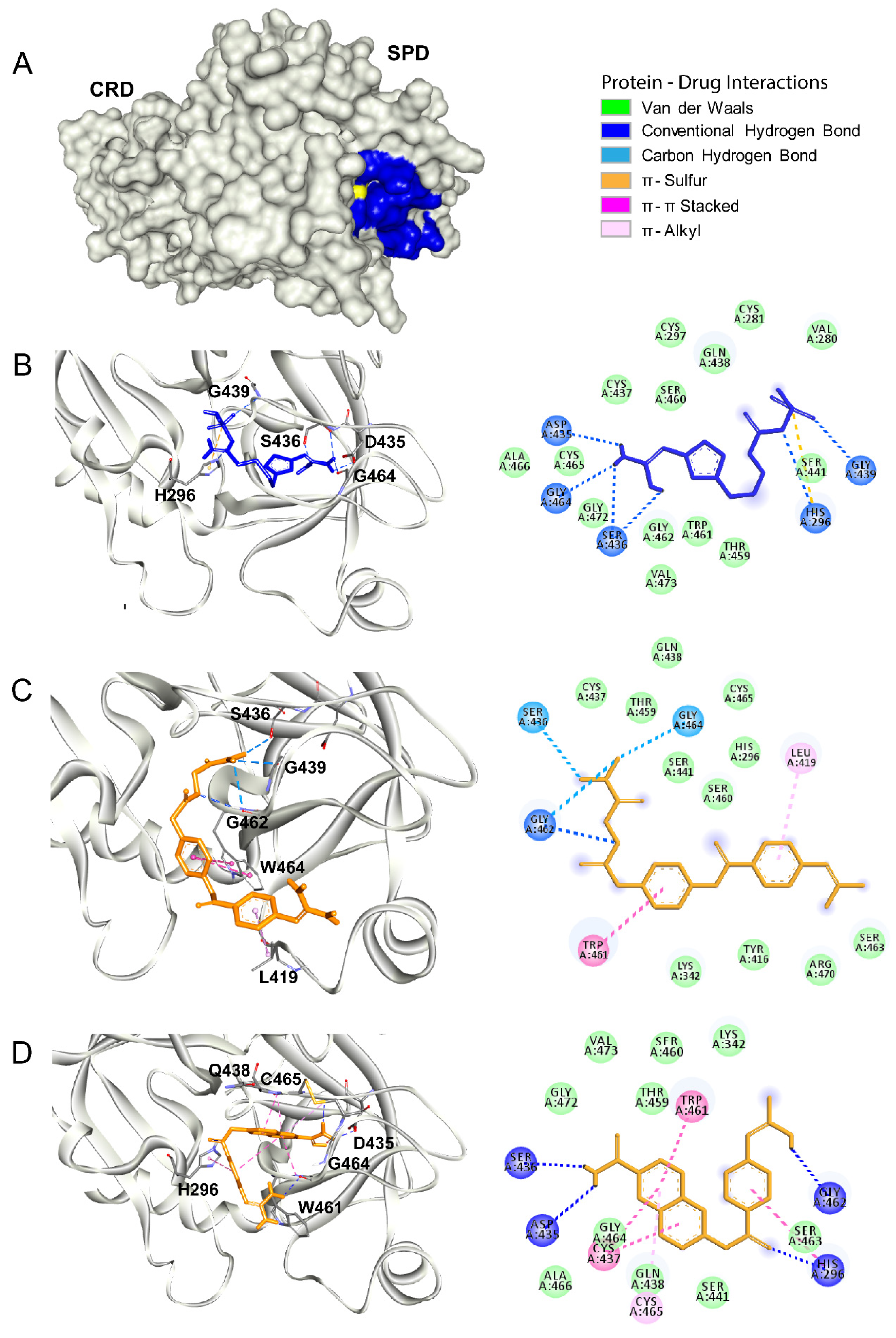 Biomolecules 10 00954 g004