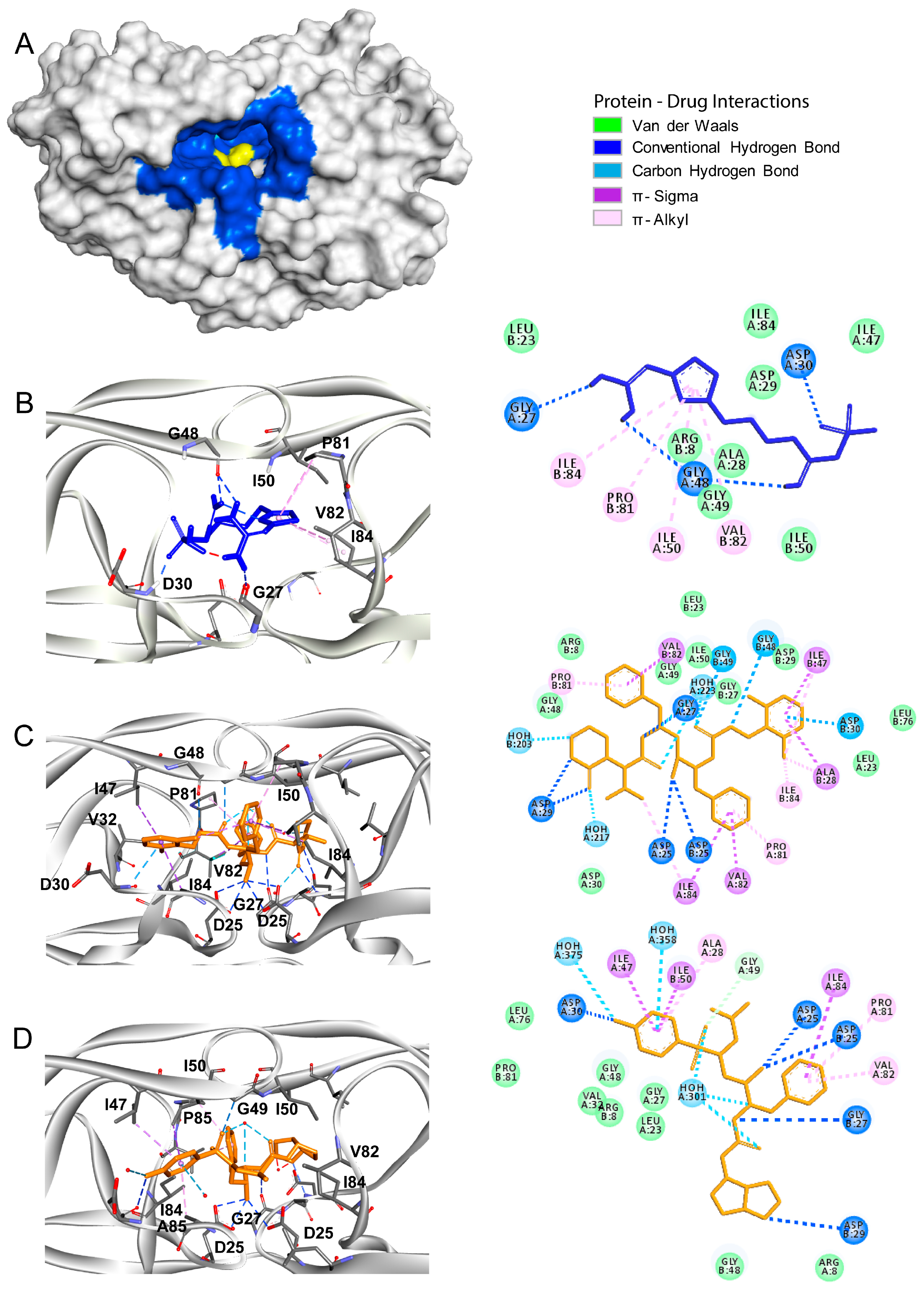 Biomolecules 10 00954 g005