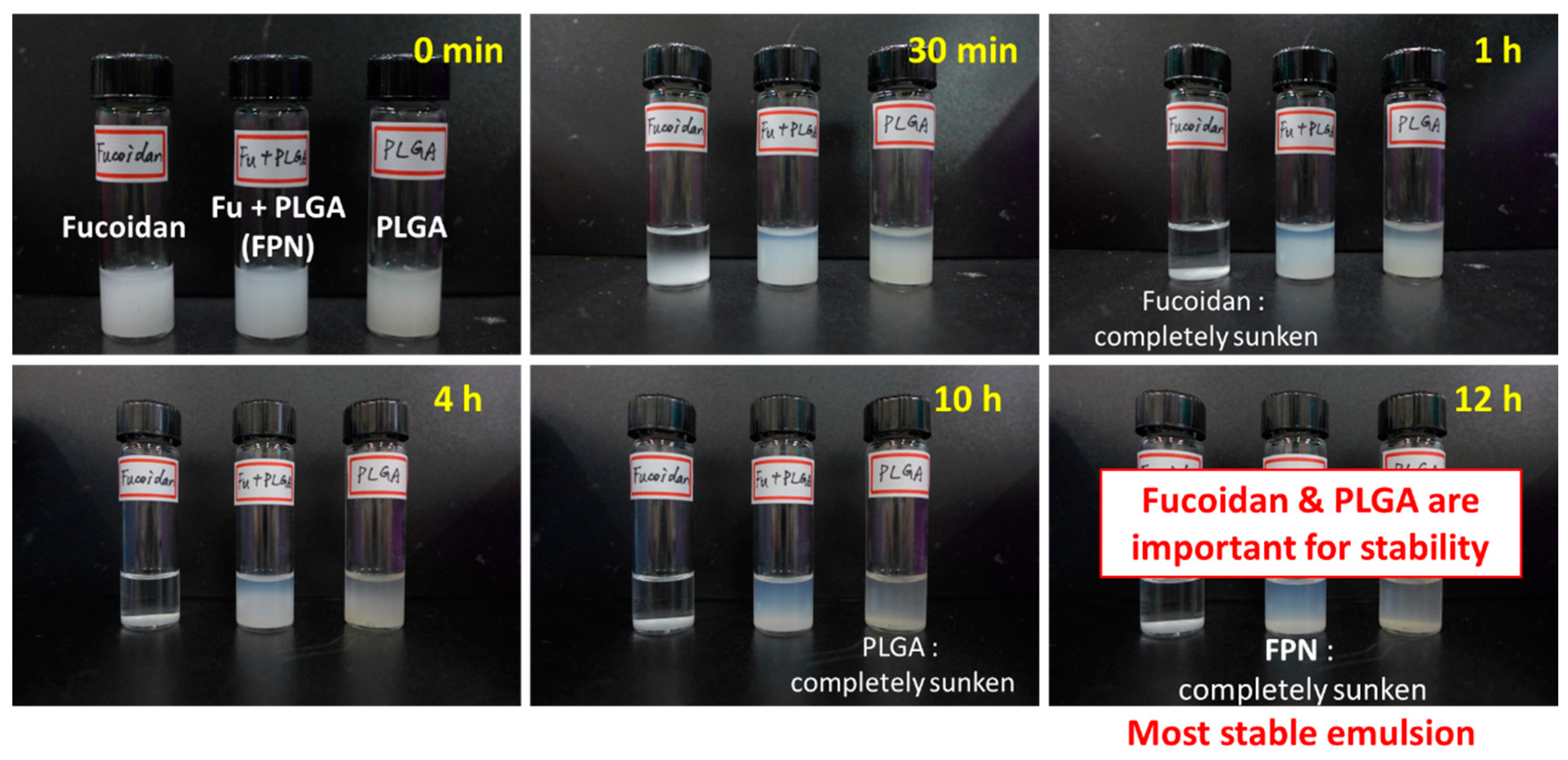 Biomolecules 10 00970 g001