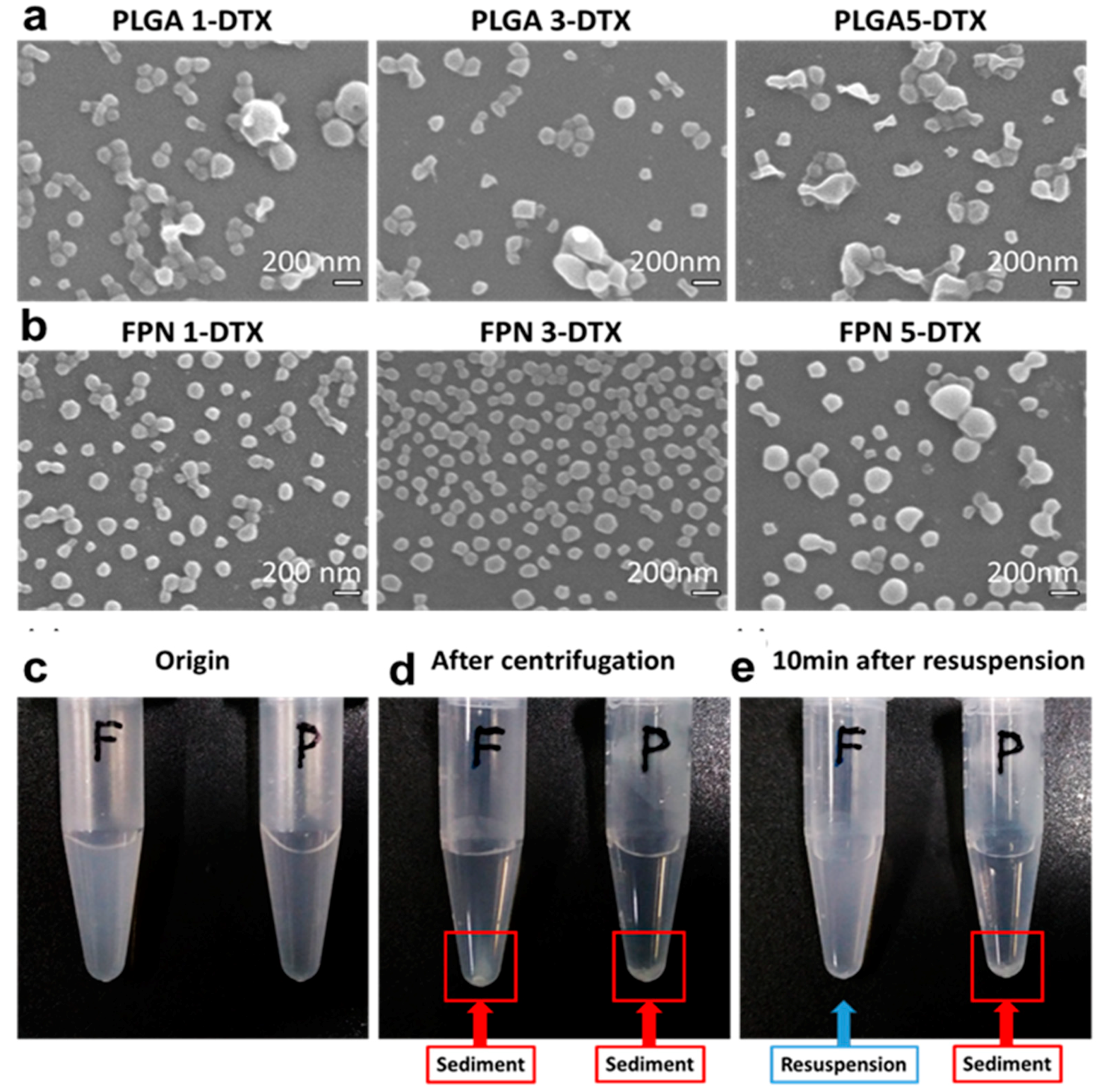 Biomolecules 10 00970 g002