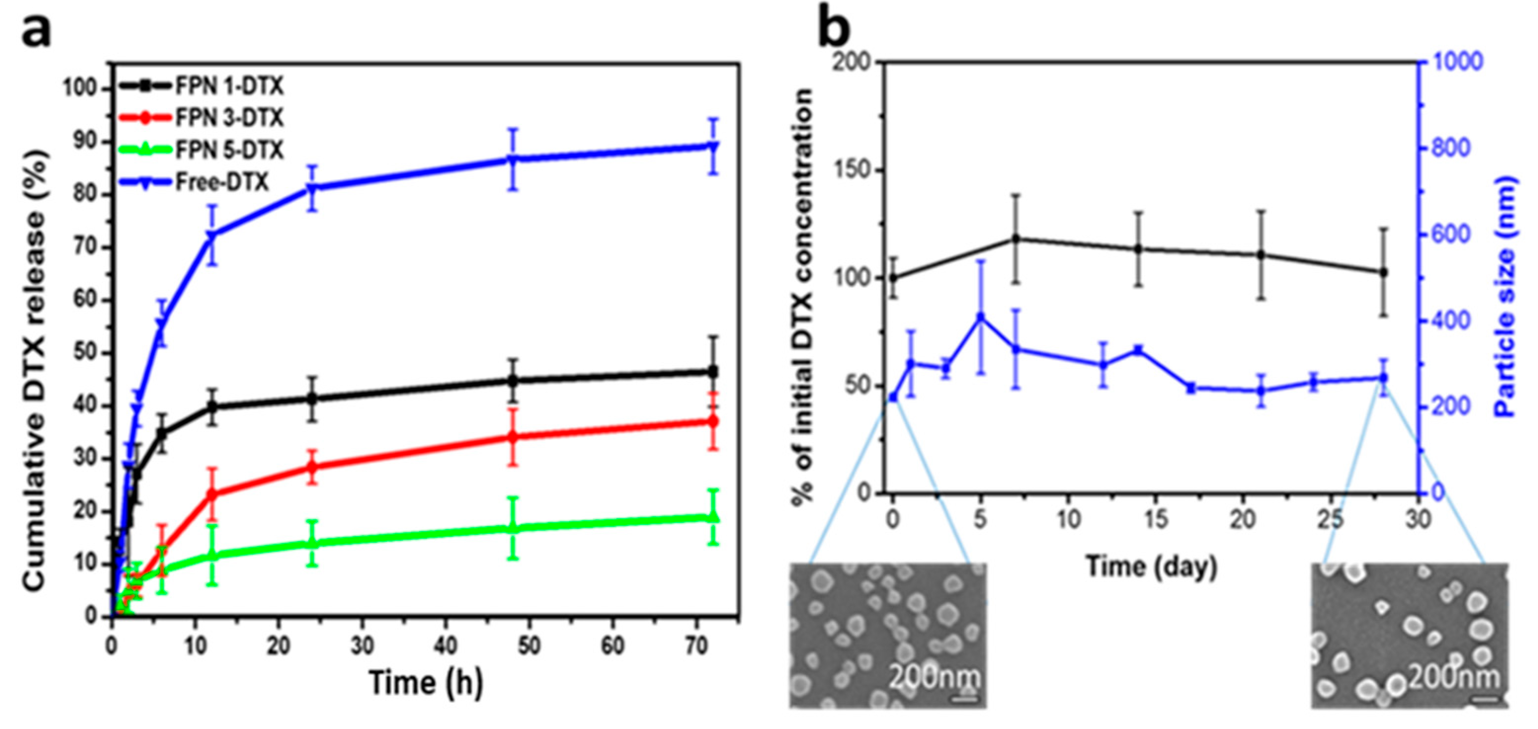 Biomolecules 10 00970 g004