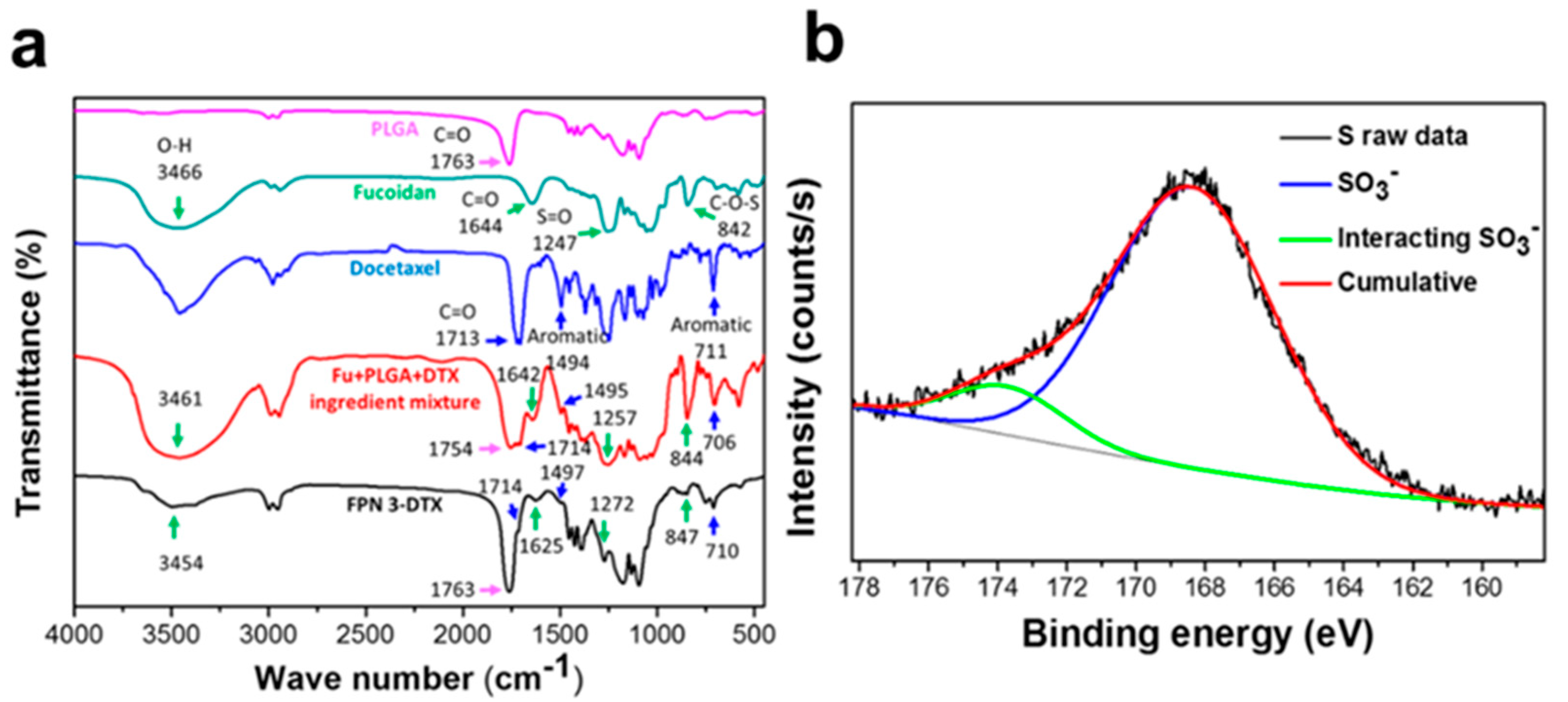 Biomolecules 10 00970 g005