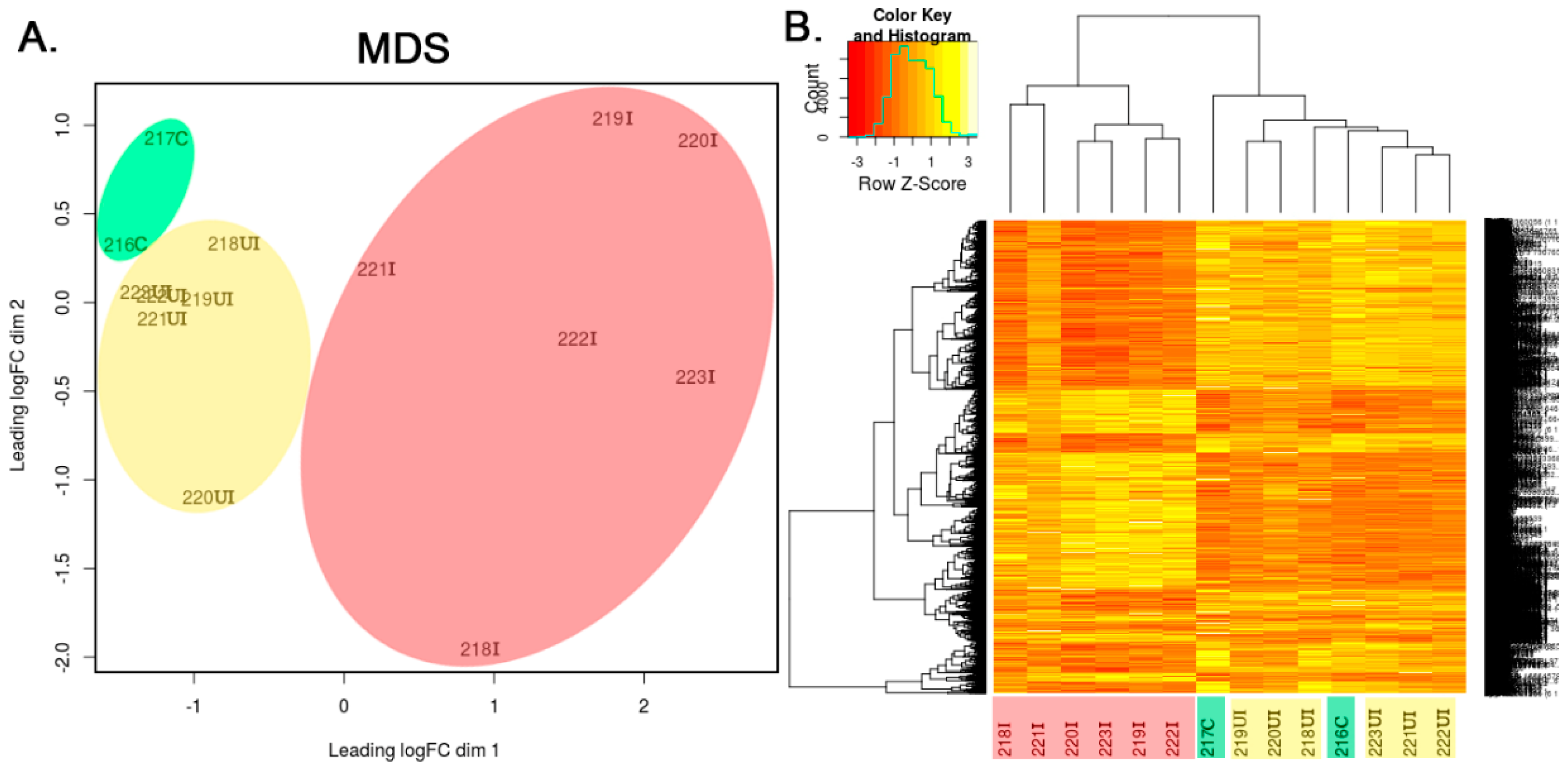 Biomolecules 10 00974 g001