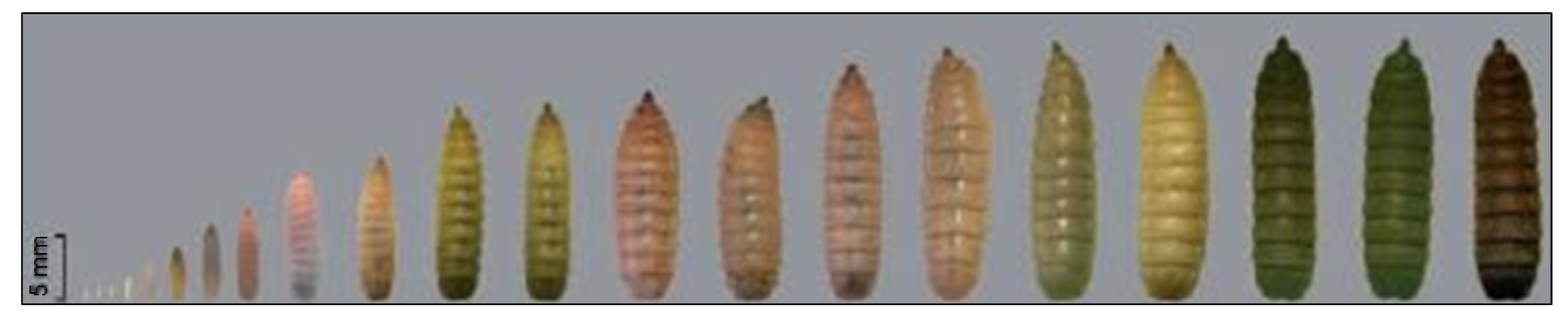 Biomolecules 10 00976 g002
