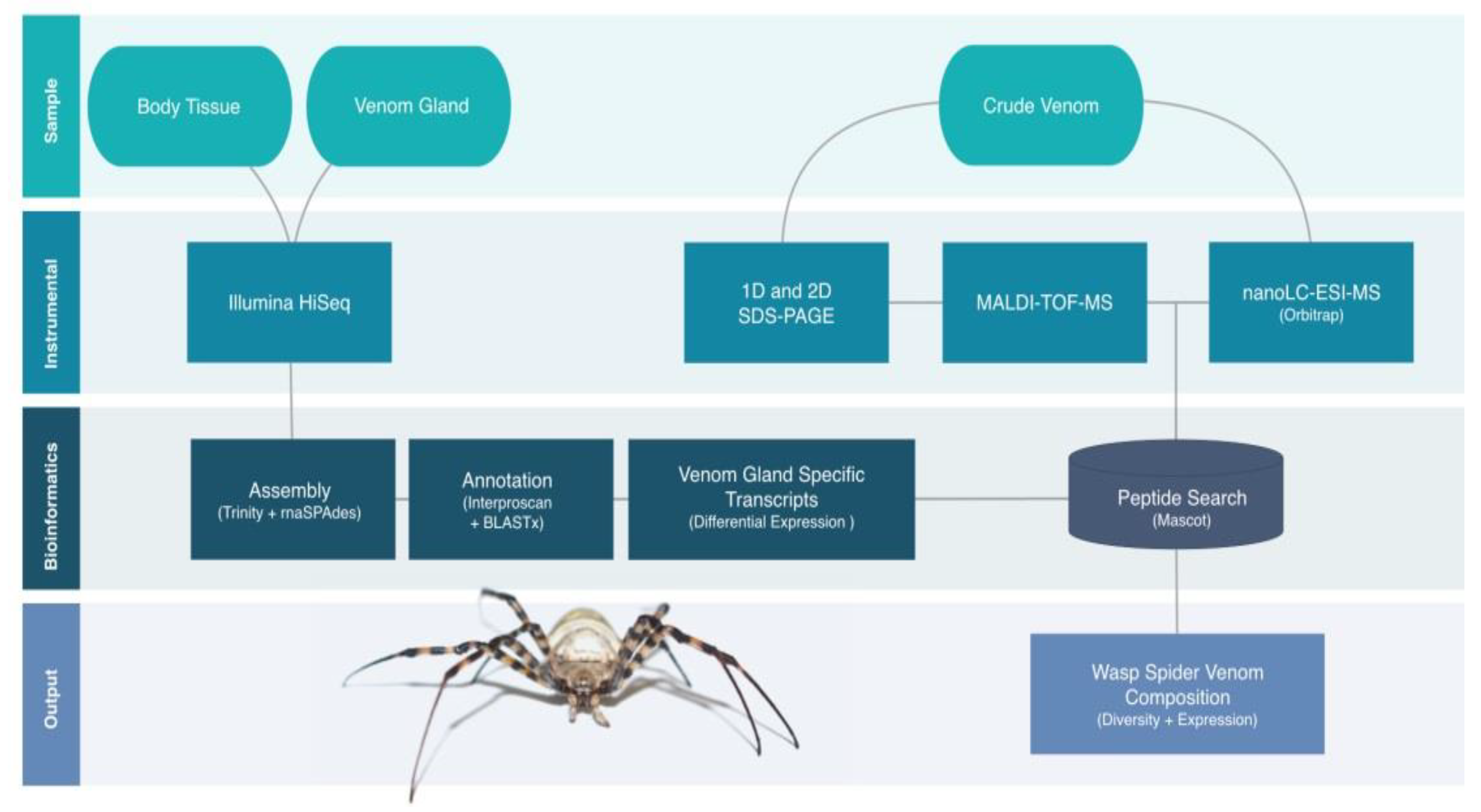 Biomolecules 10 00978 g001