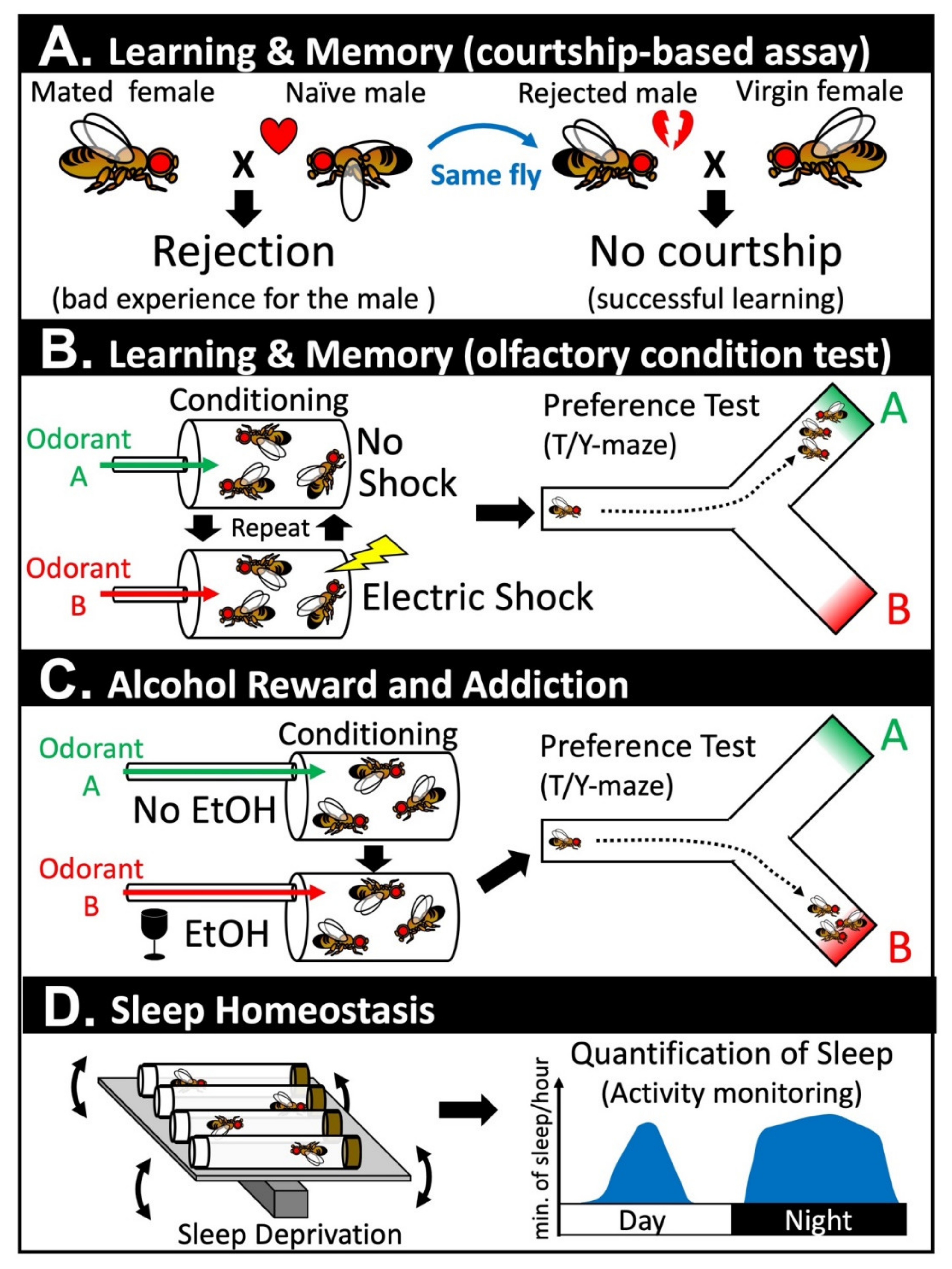 Biomolecules 10 00985 g001