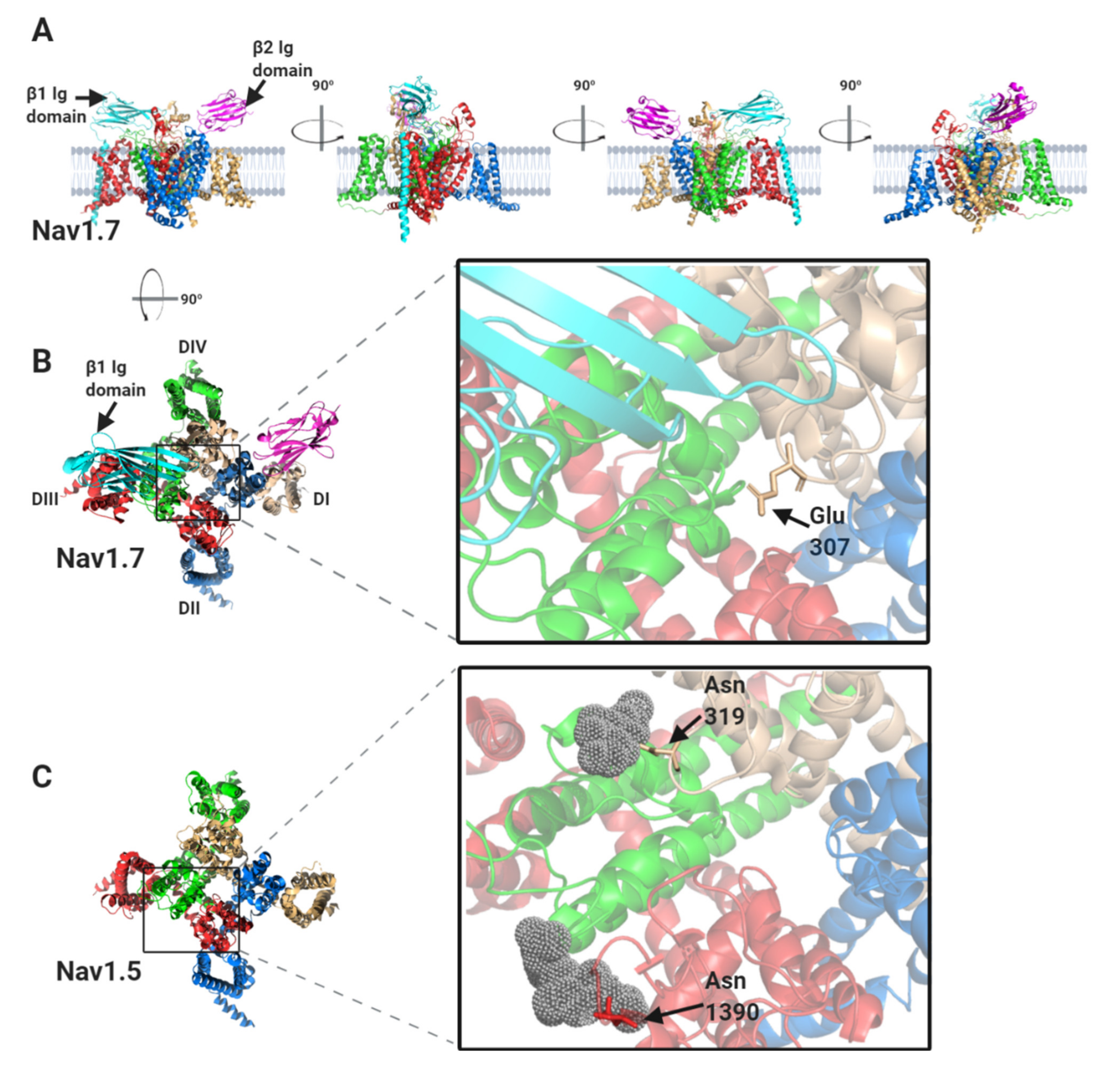 Biomolecules 10 00989 g004a