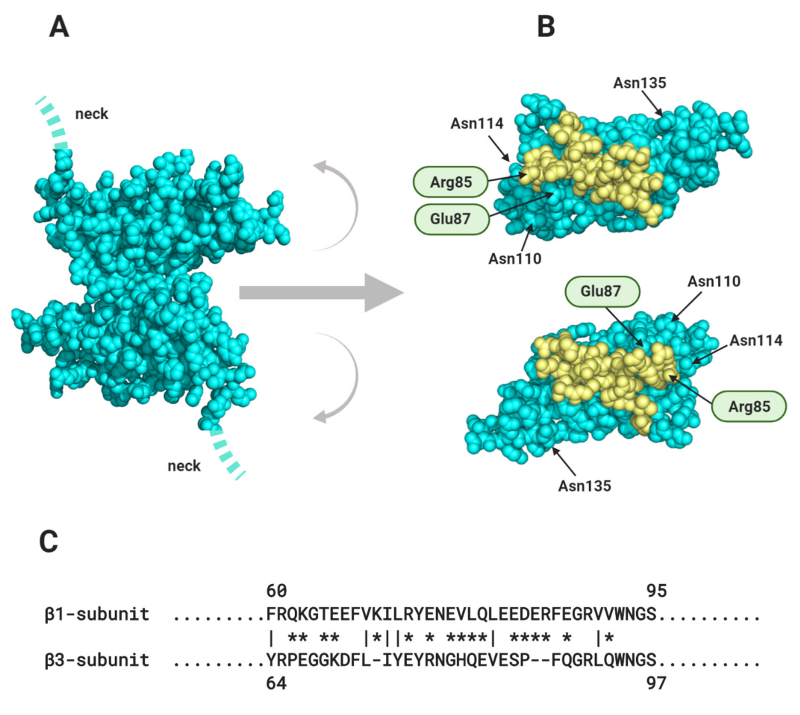Biomolecules 10 00989 g007