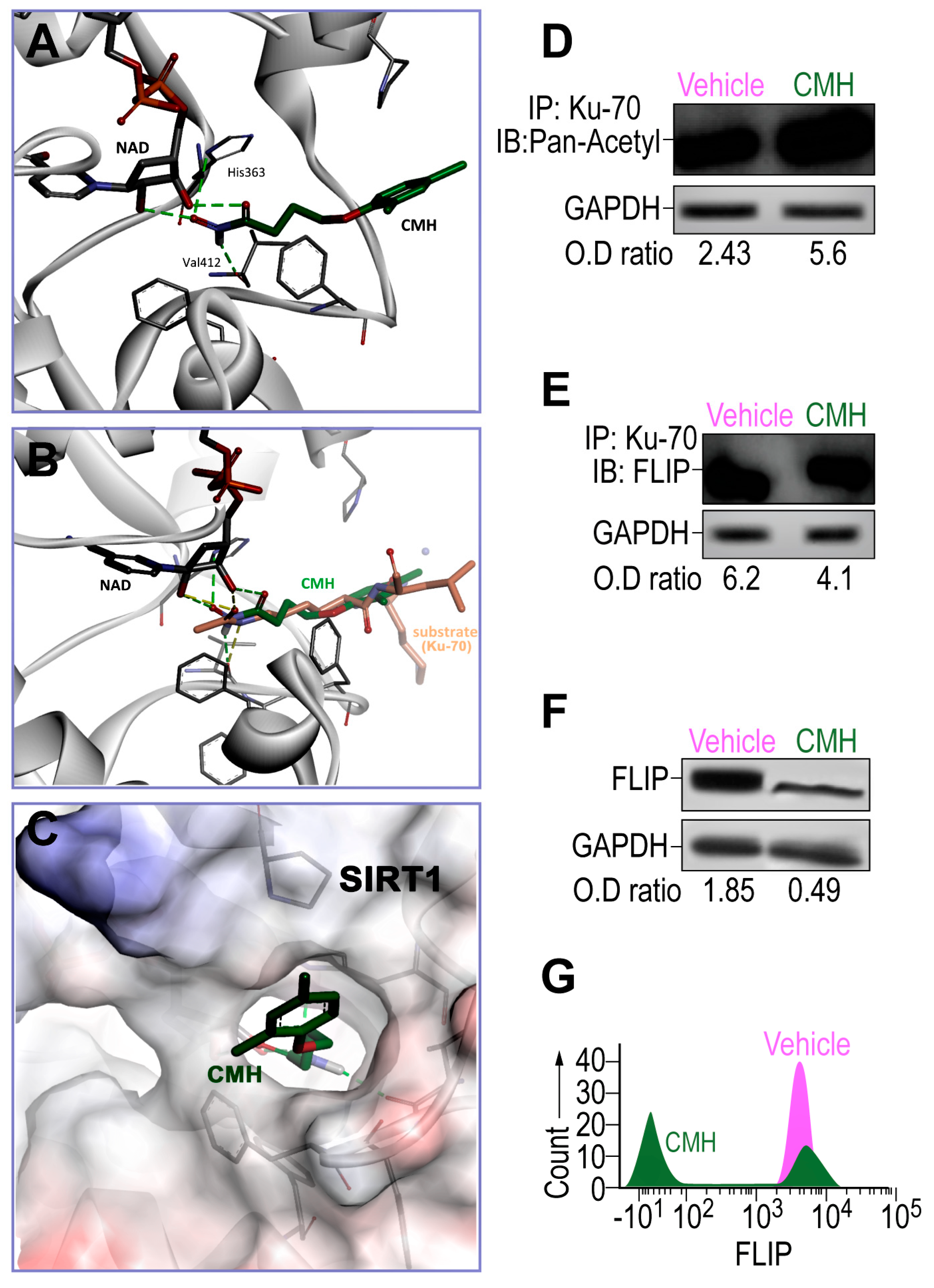 Biomolecules 10 00997 g001