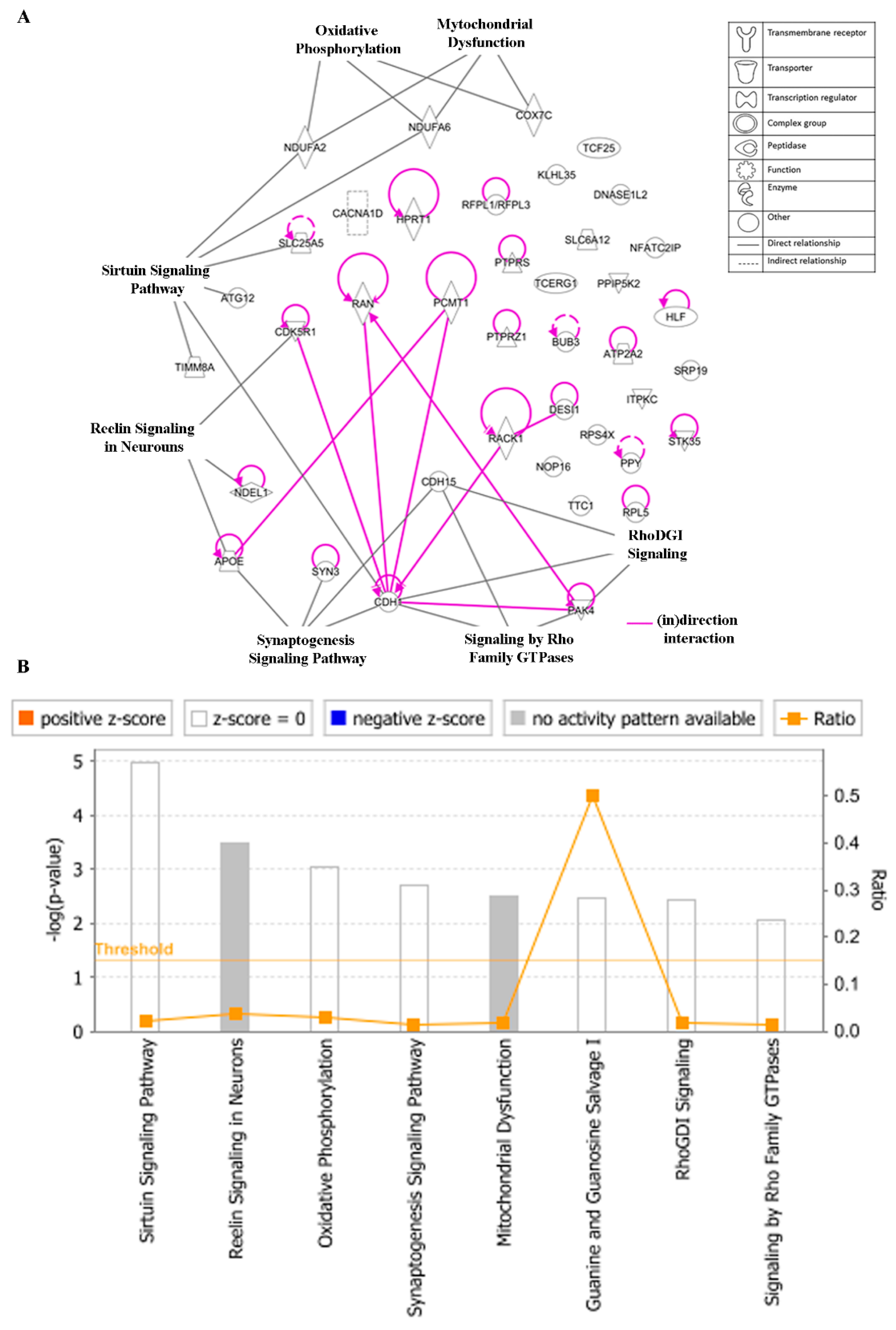 Biomolecules 10 01000 g011 Biomolecules 10 01000 g011