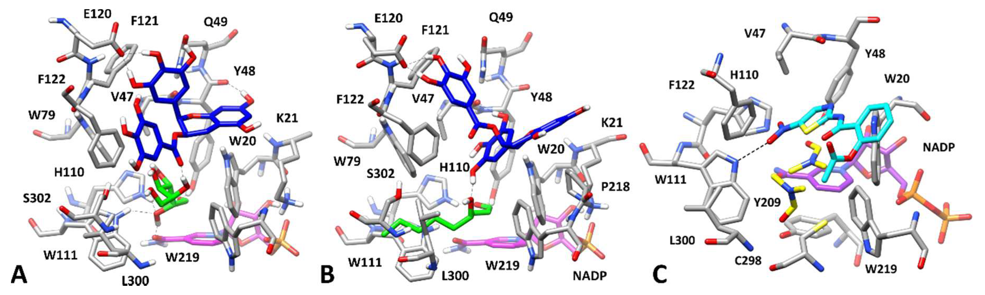 Biomolecules 10 01003 g008 Biomolecules 10 01003 g008