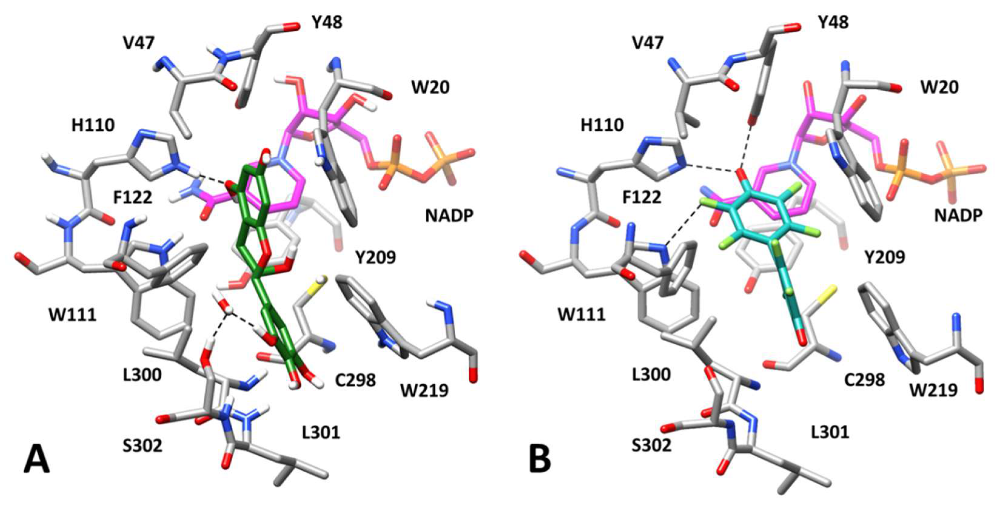Biomolecules 10 01003 g009 Biomolecules 10 01003 g009