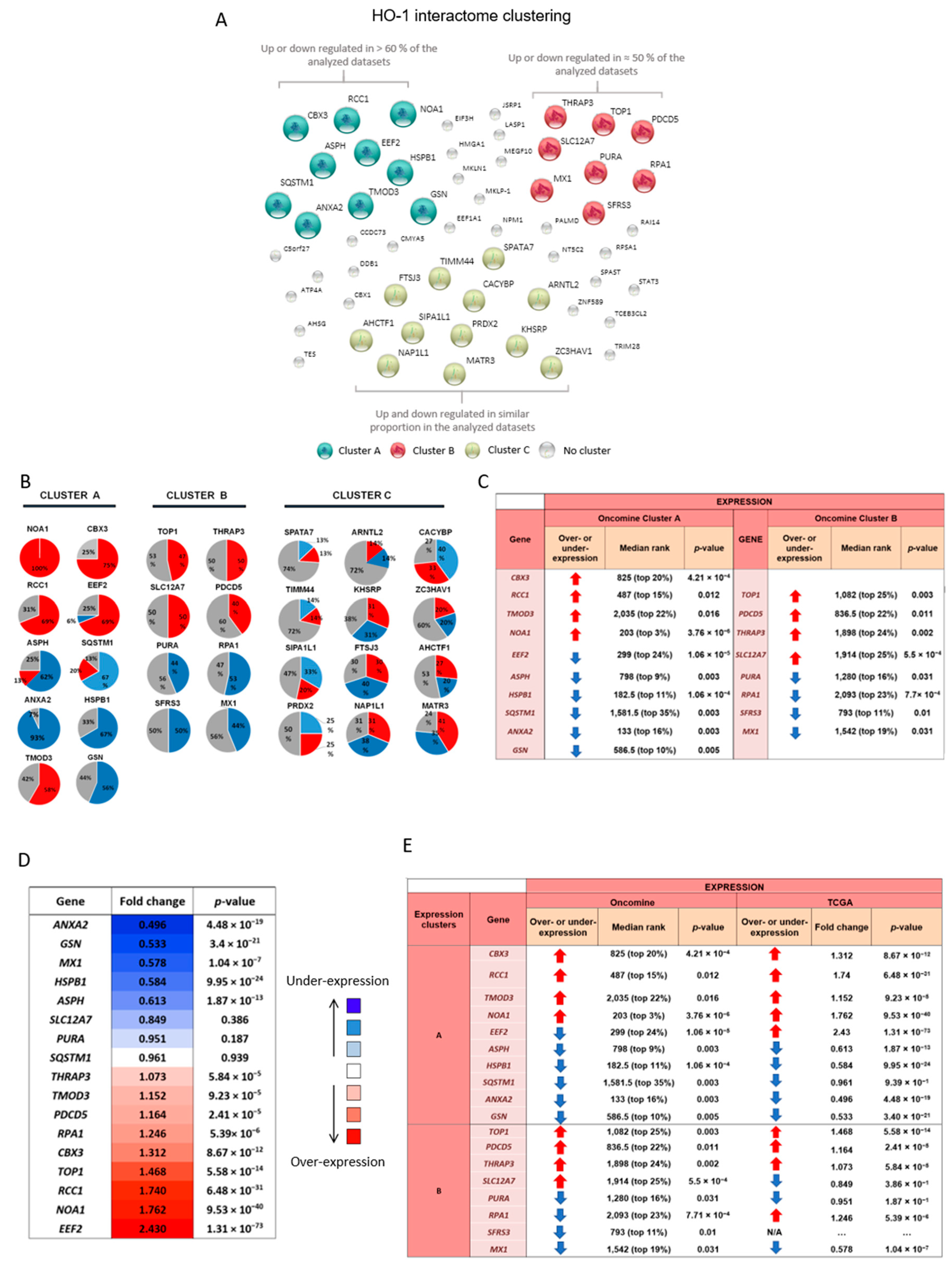 Biomolecules 10 01005 g001 Biomolecules 10 01005 g001