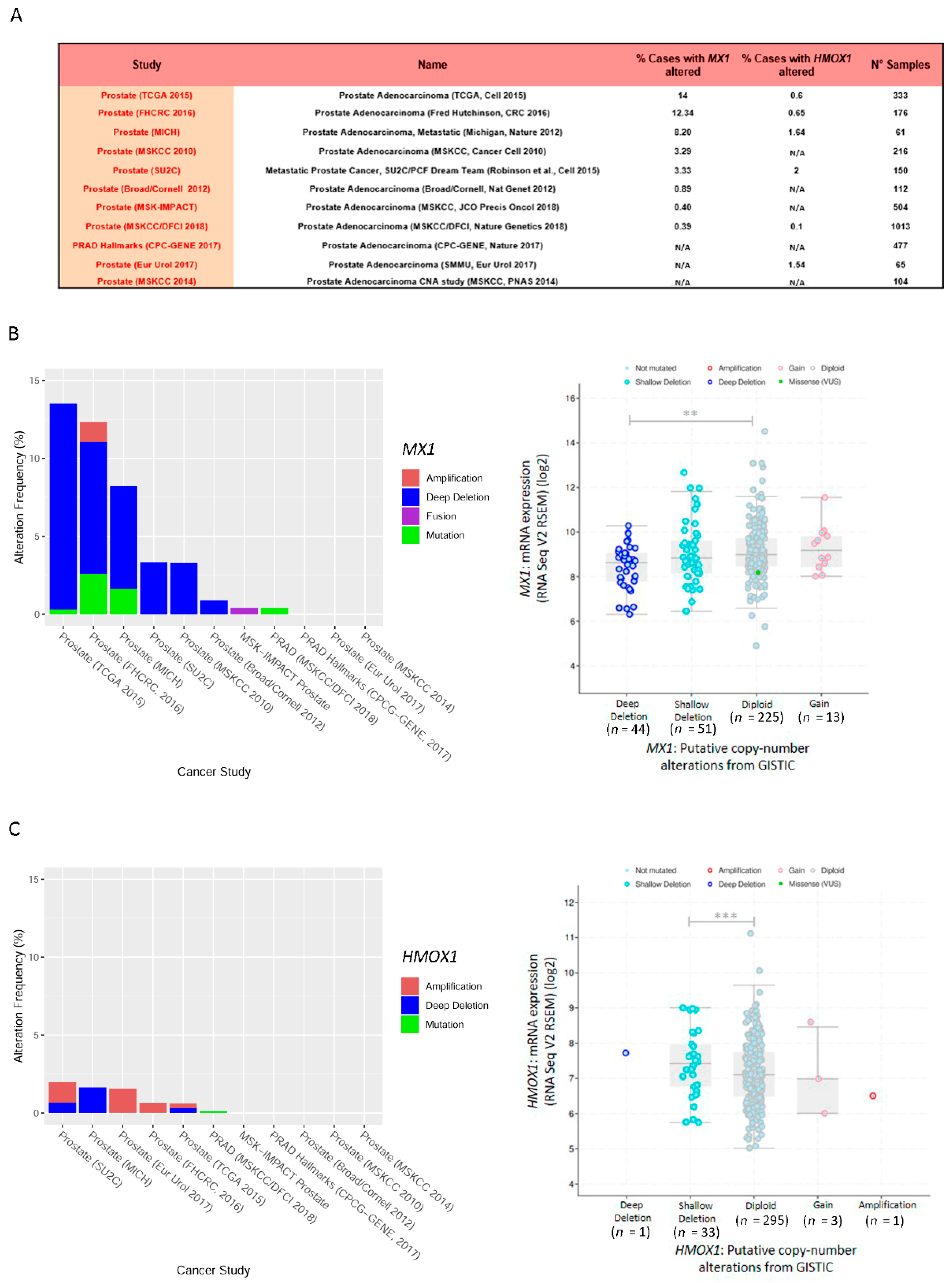 Biomolecules 10 01005 g003 Biomolecules 10 01005 g003