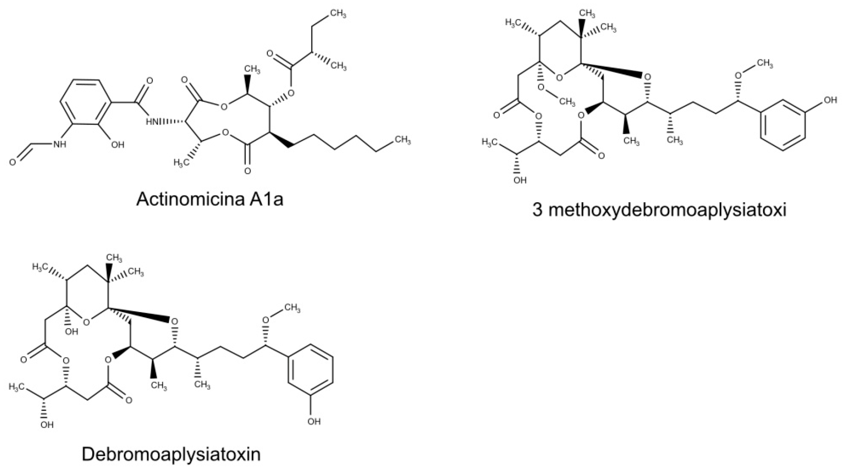 Biomolecules 10 01007 g001