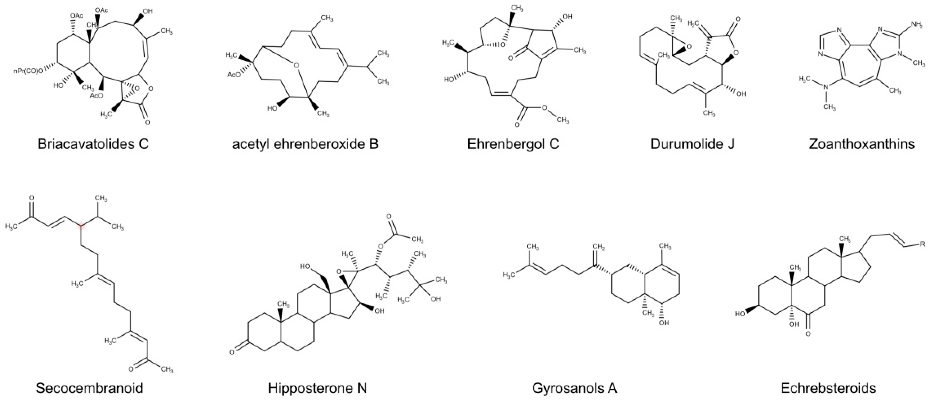 Biomolecules 10 01007 g005