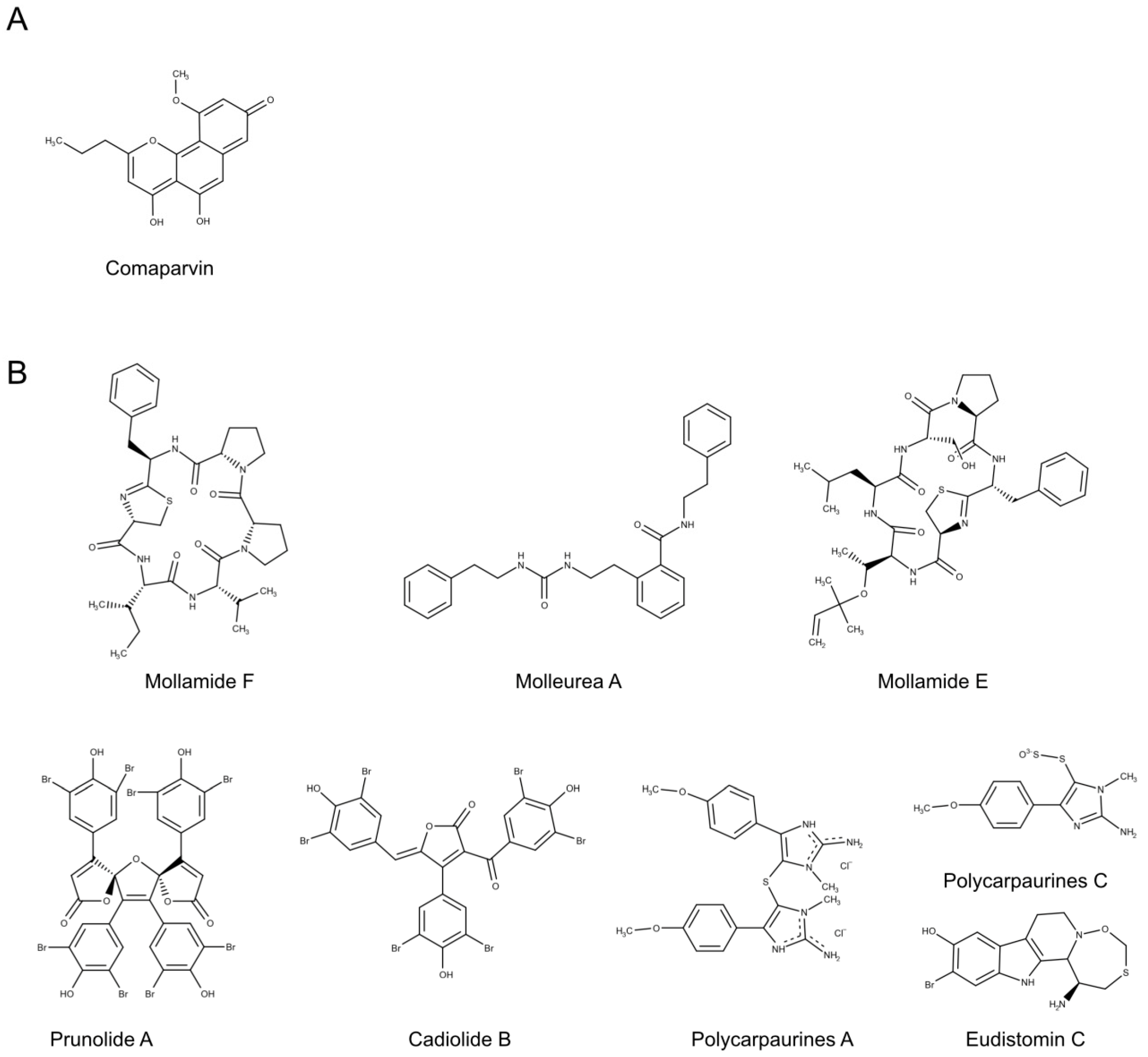 Biomolecules 10 01007 g006