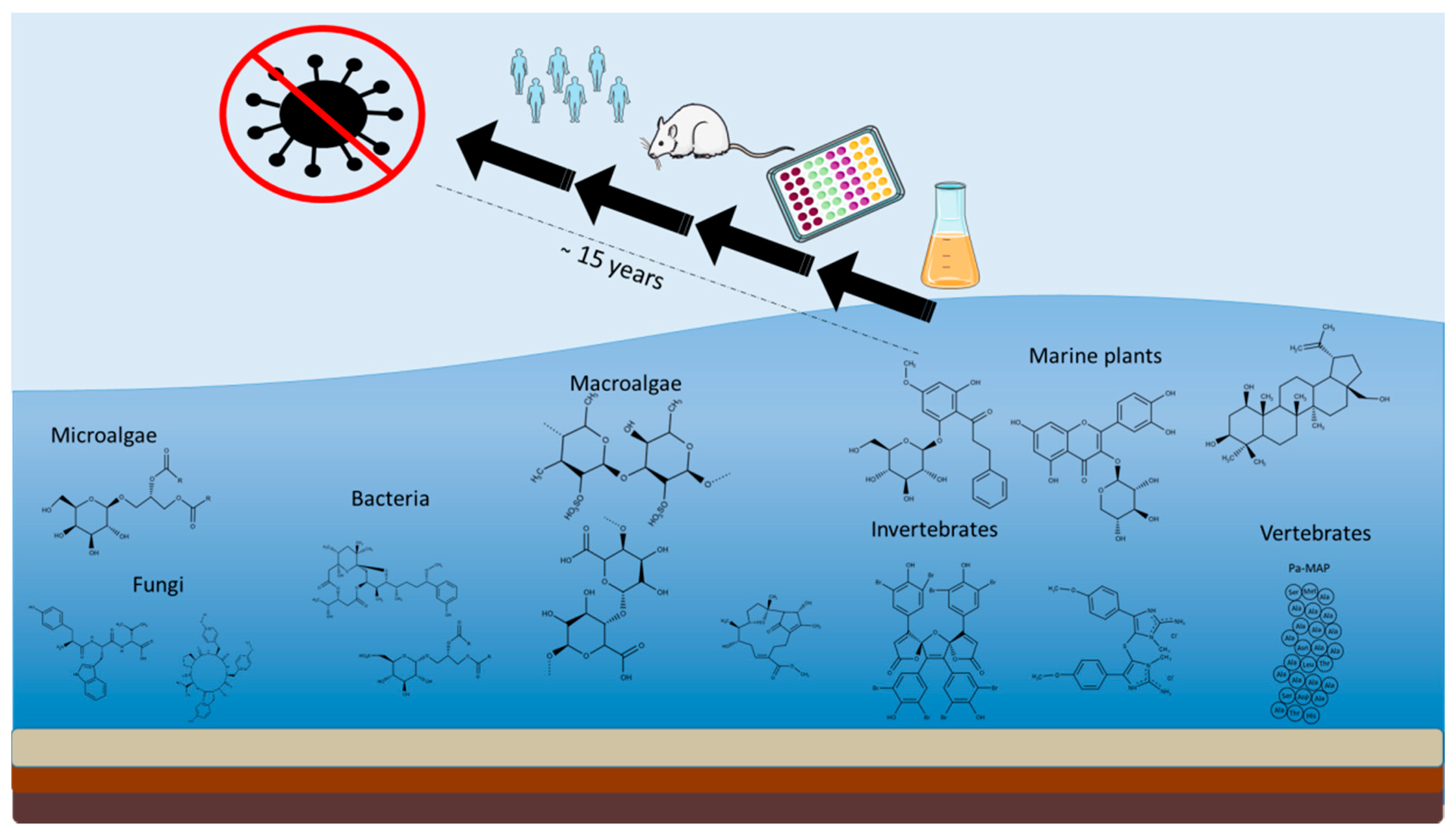 Biomolecules 10 01007 g007