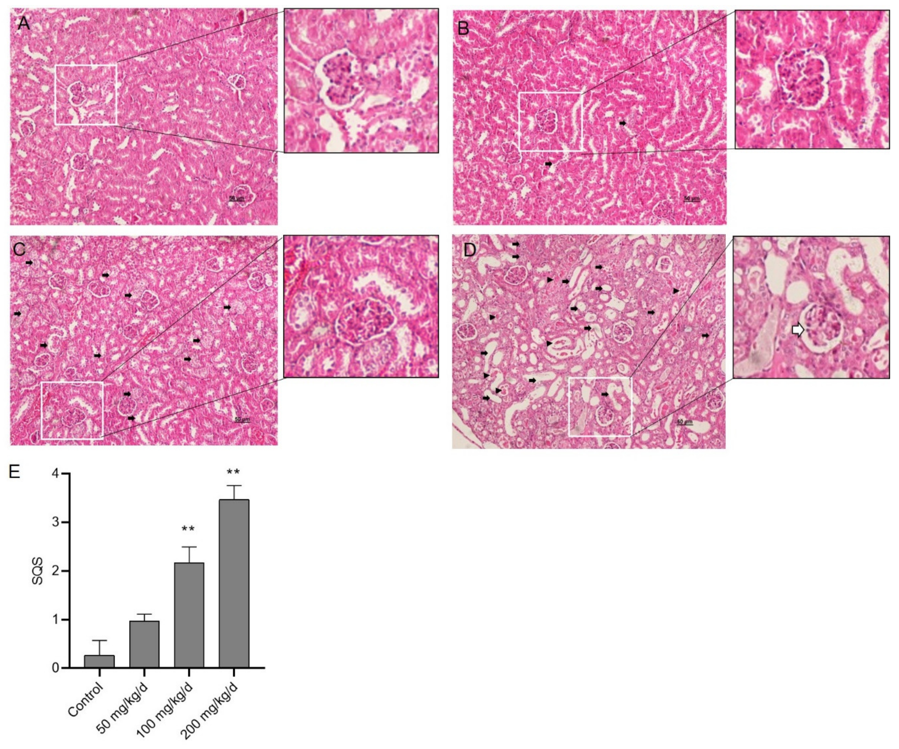 Biomolecules 10 01010 g002