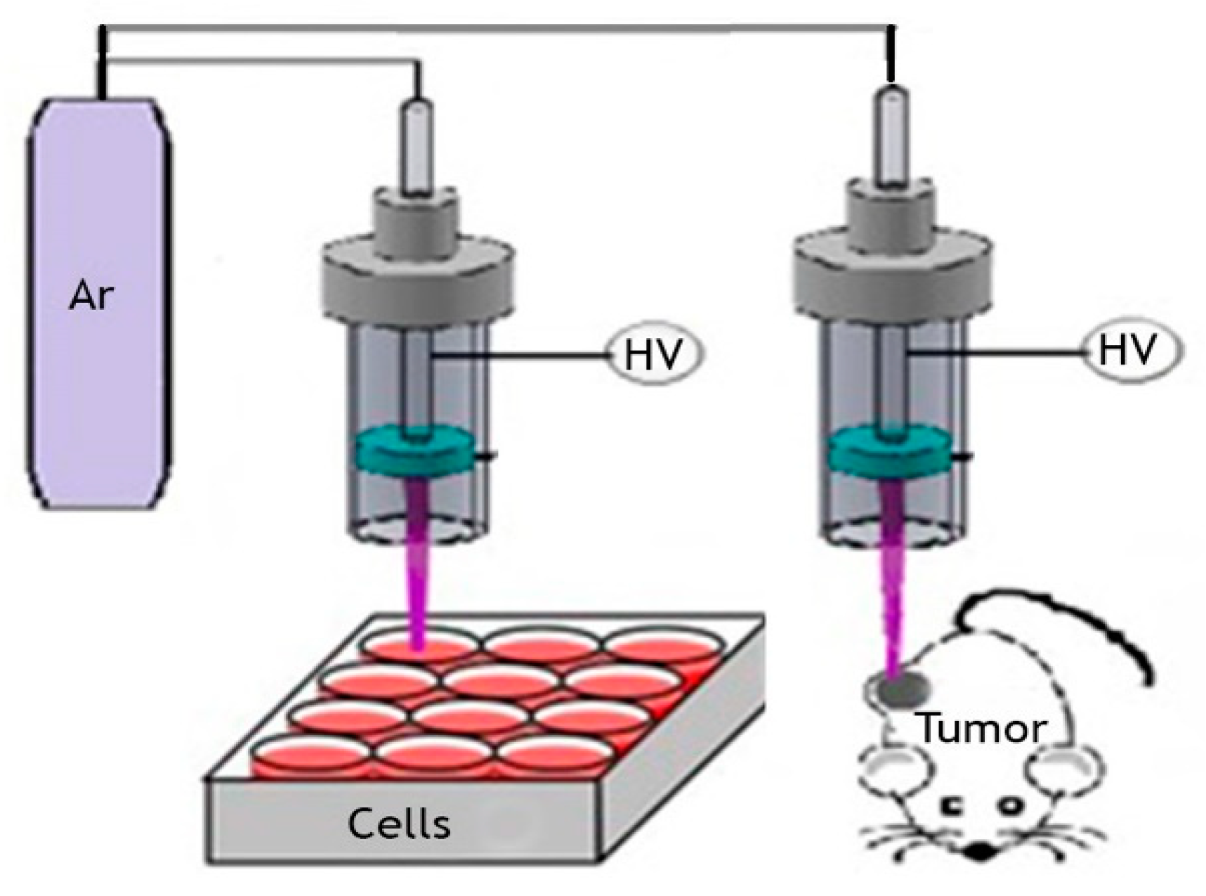 Biomolecules 10 01011 g001 Biomolecules 10 01011 g001