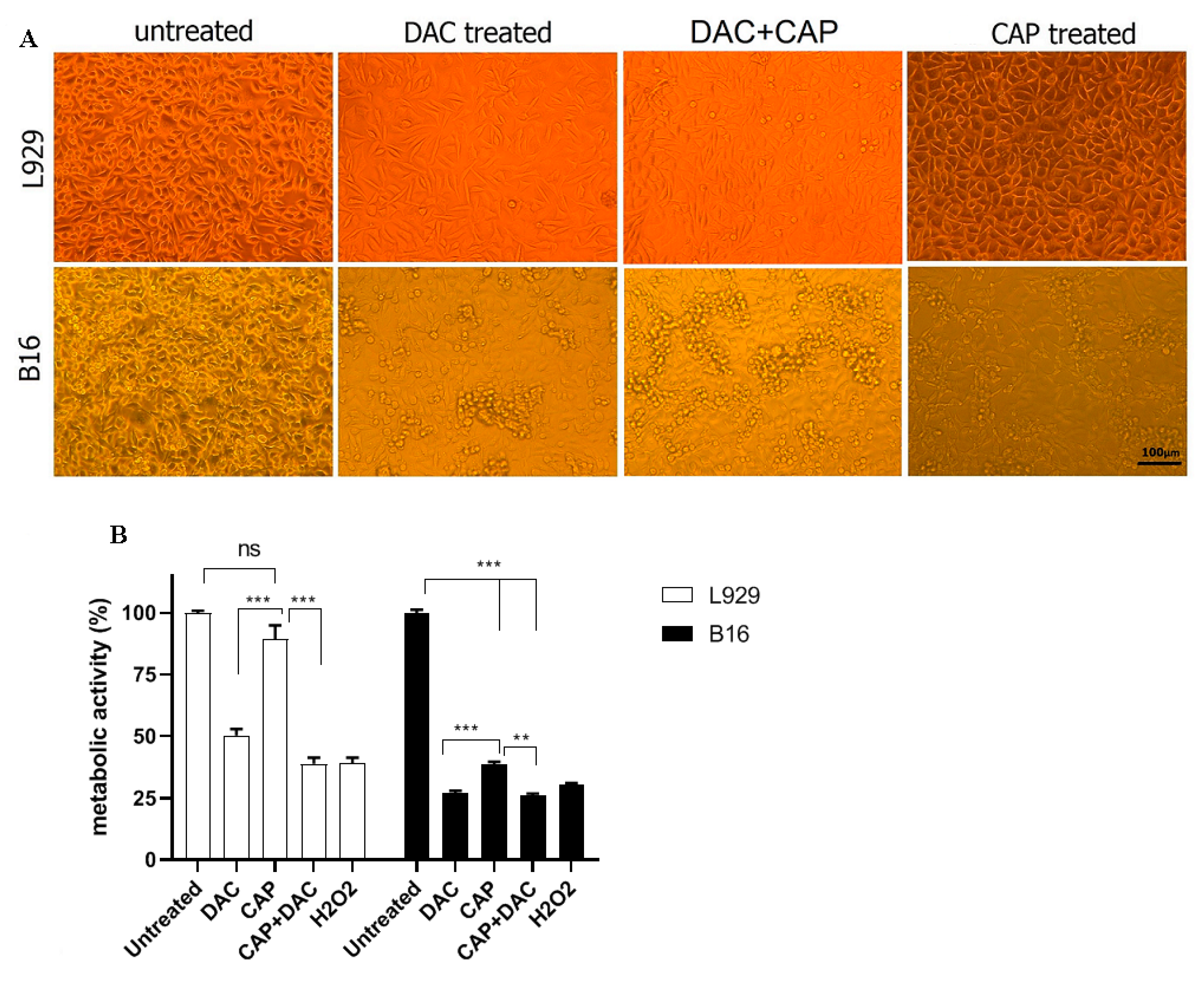 Biomolecules 10 01011 g002 Biomolecules 10 01011 g002