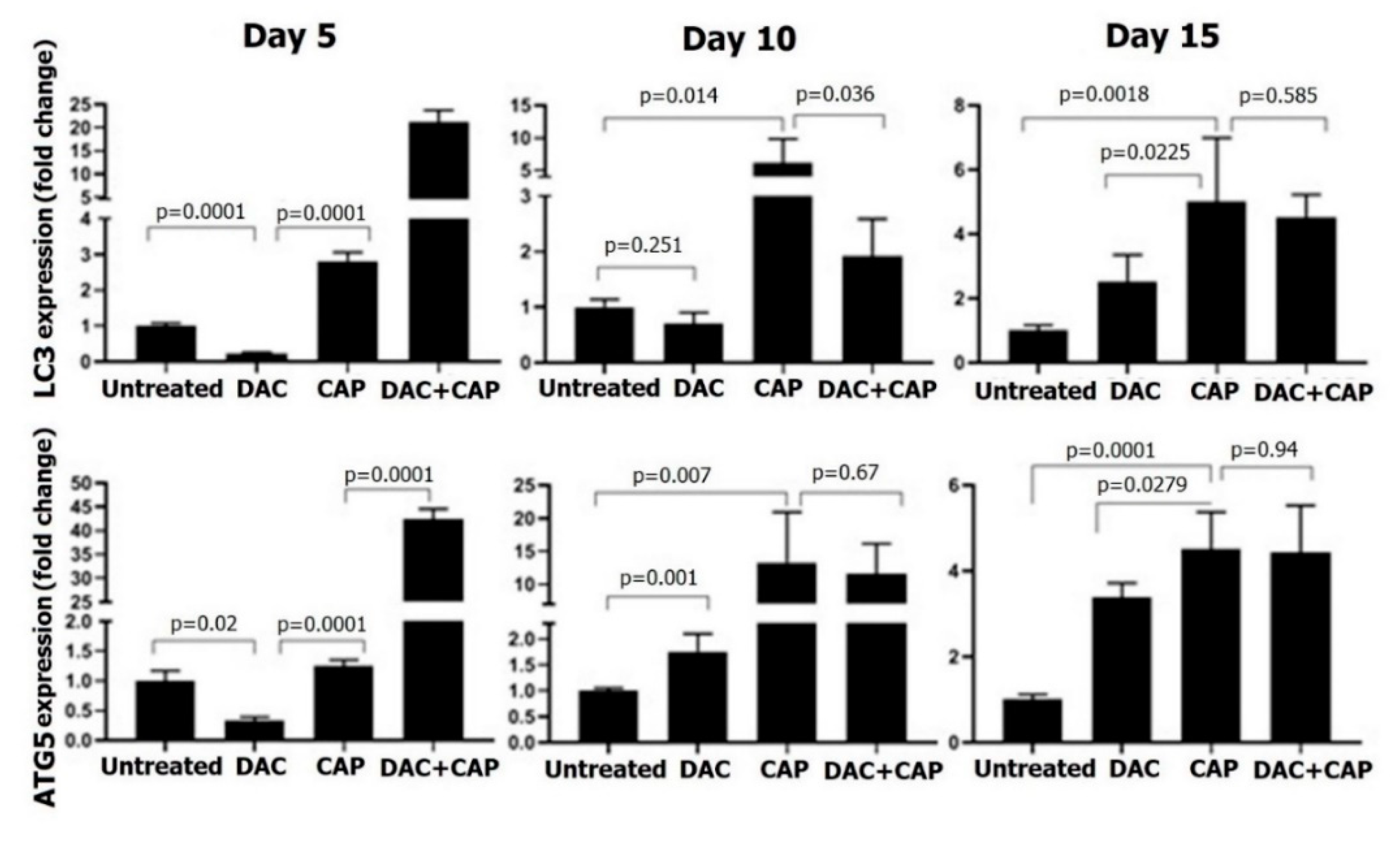 Biomolecules 10 01011 g008 Biomolecules 10 01011 g008